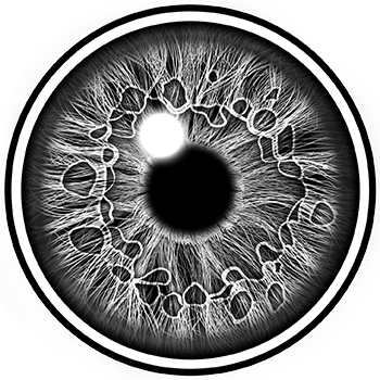 Close-up of a human eye's iris with intricate detail and a black pupil.