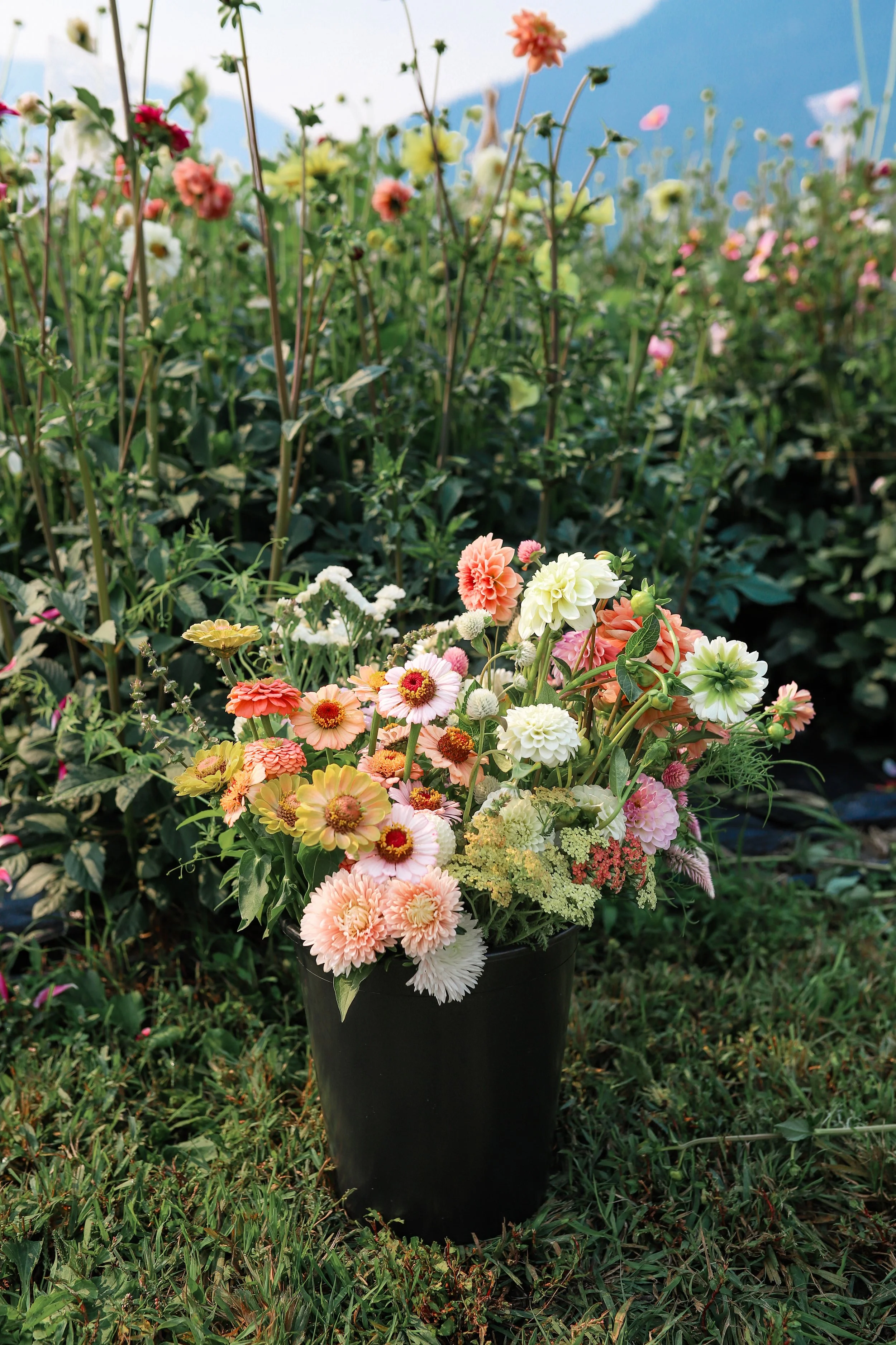 DIY Flower Bucket Pemberton Flower Farm-6.jpg