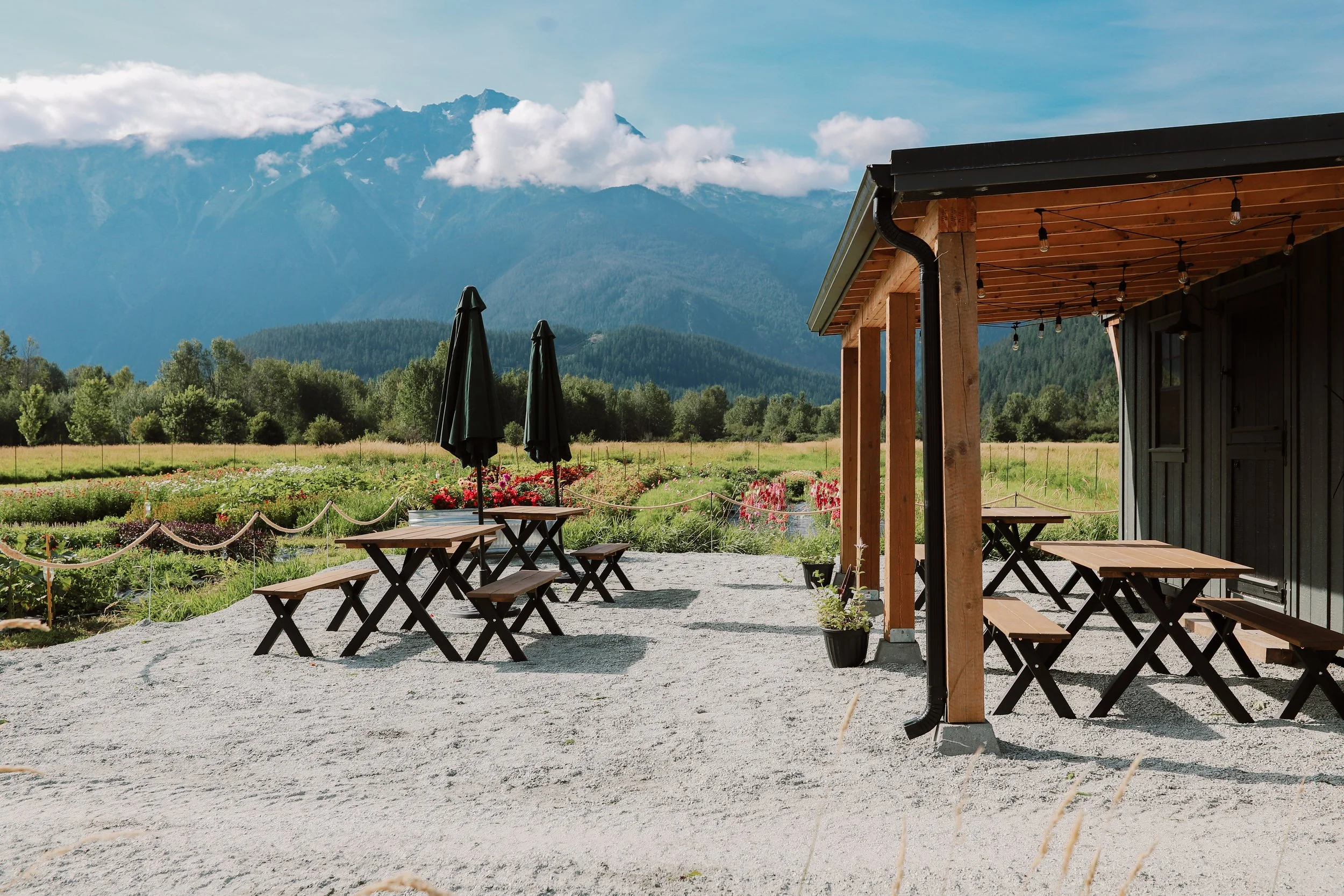 Flower Farm Pemberton The Flower Wrangler-35.jpg