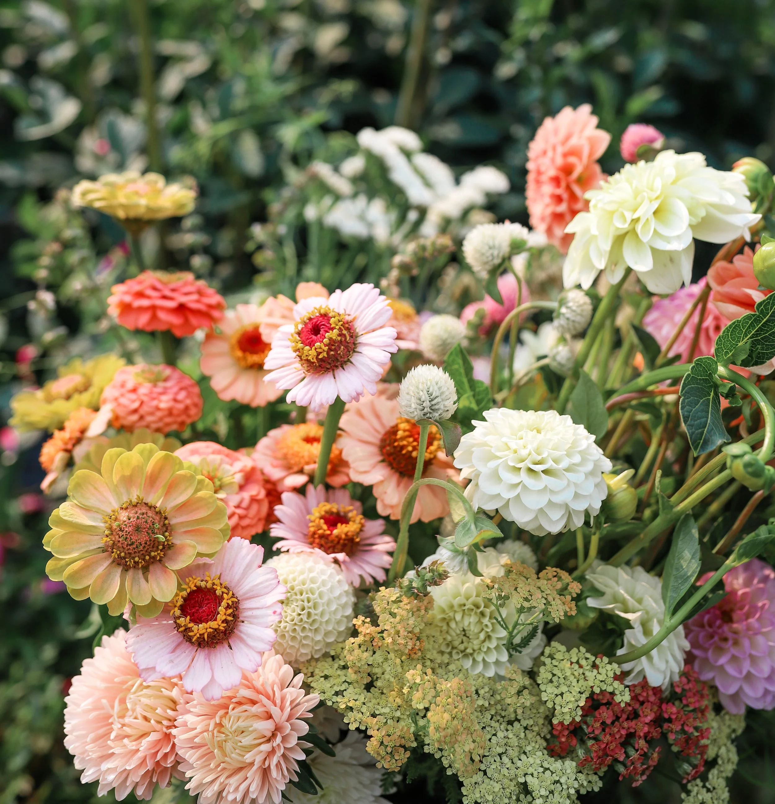 DIY Flower Bucket Pemberton Flower Farm-16.jpg