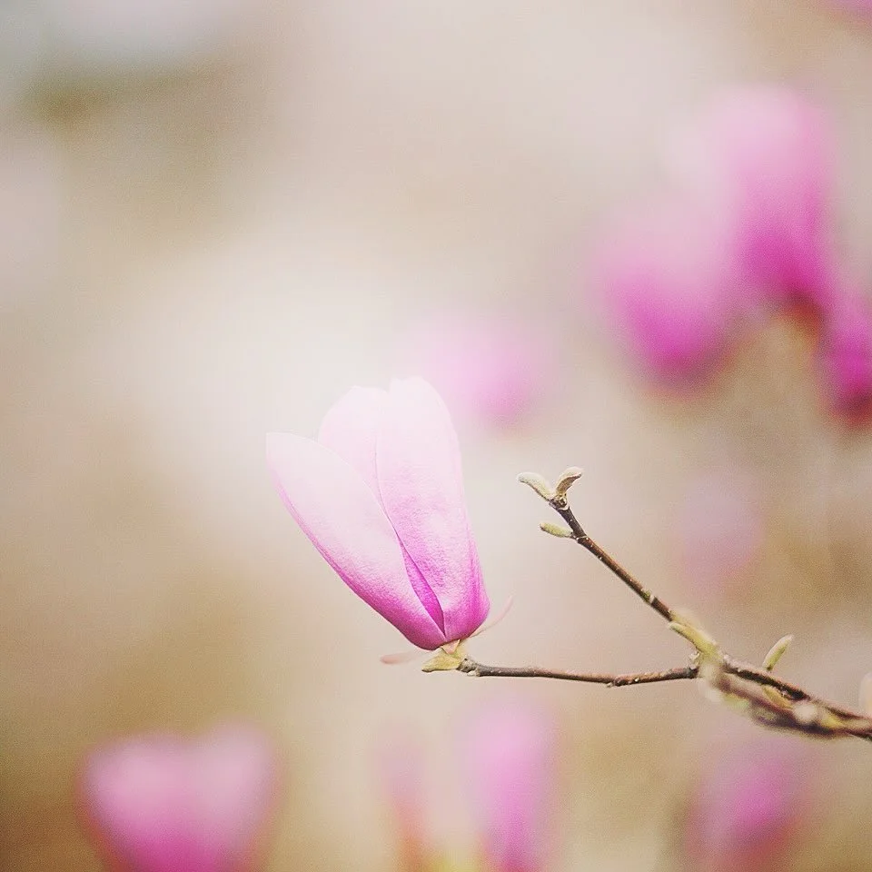 Spring is in the air