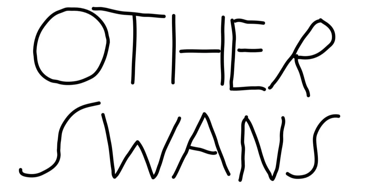 Other Swans