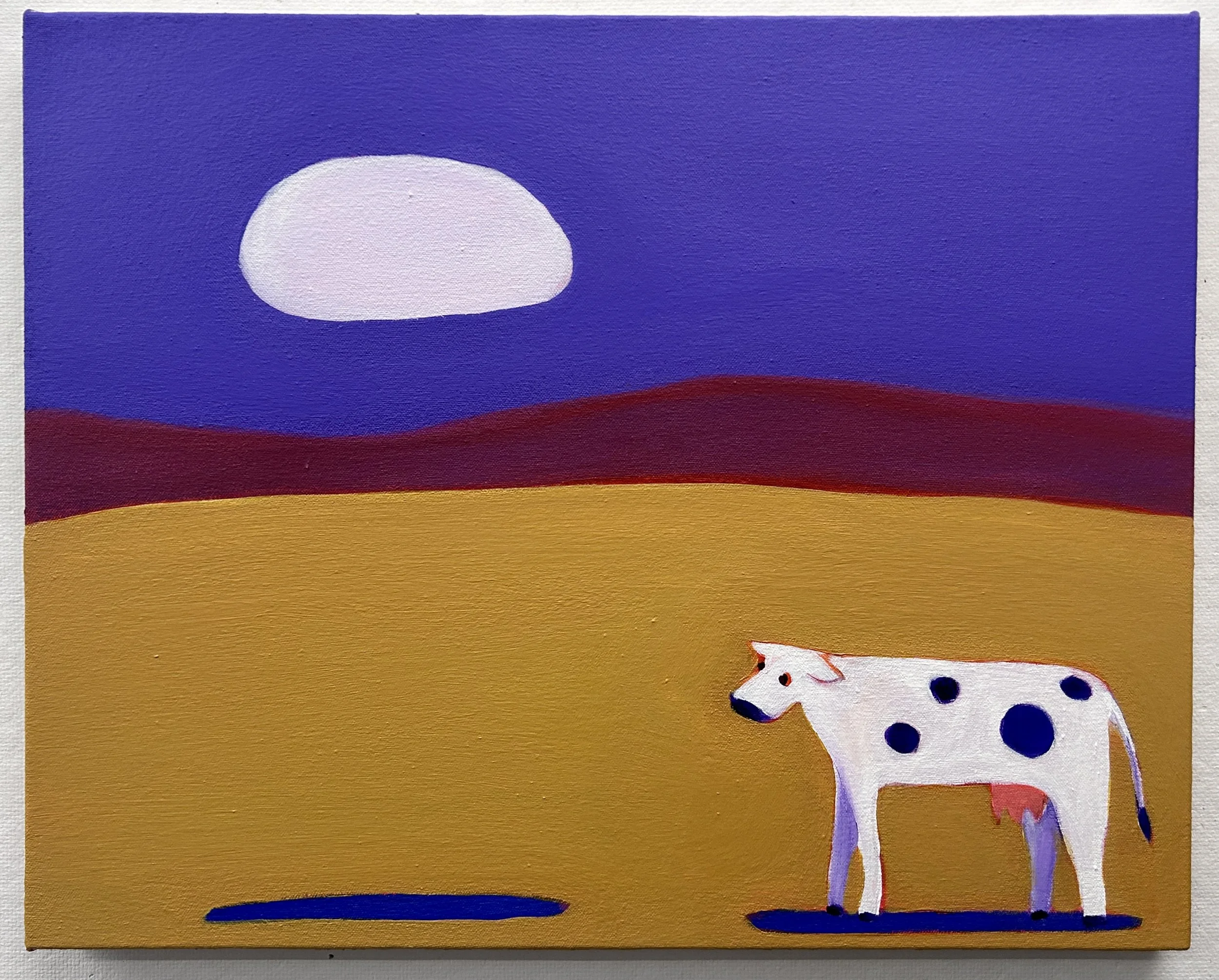 Curious Cow.jpg