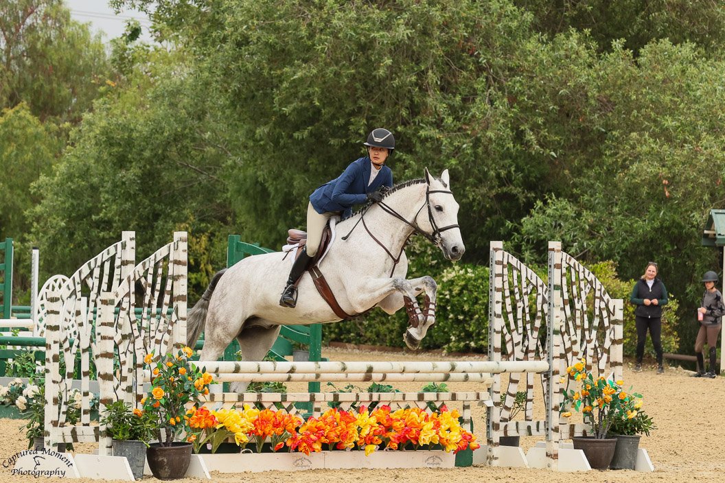 Erin Duffy Show Stables: Inside a Top LA Hunter Jumper Training Barn