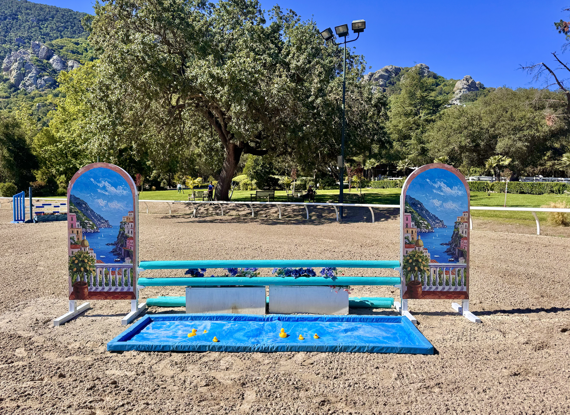 Chipko Training Show Jumping: Aluminum Jumps Set for Hunter and Jumper Barn in Hidden Valley, CA