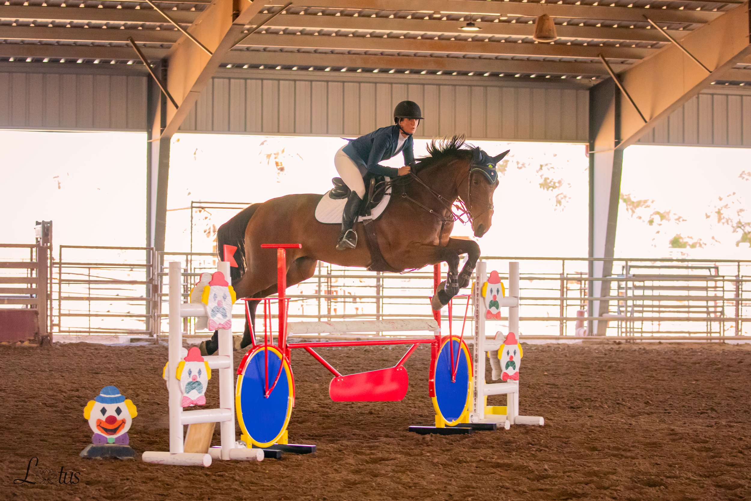 pangaia jump at pinnacle equestrian tour