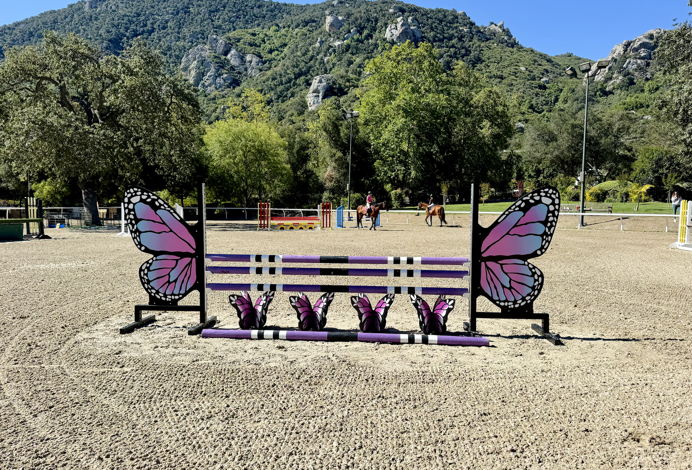 Butterfly standards at Chipko Training Stable