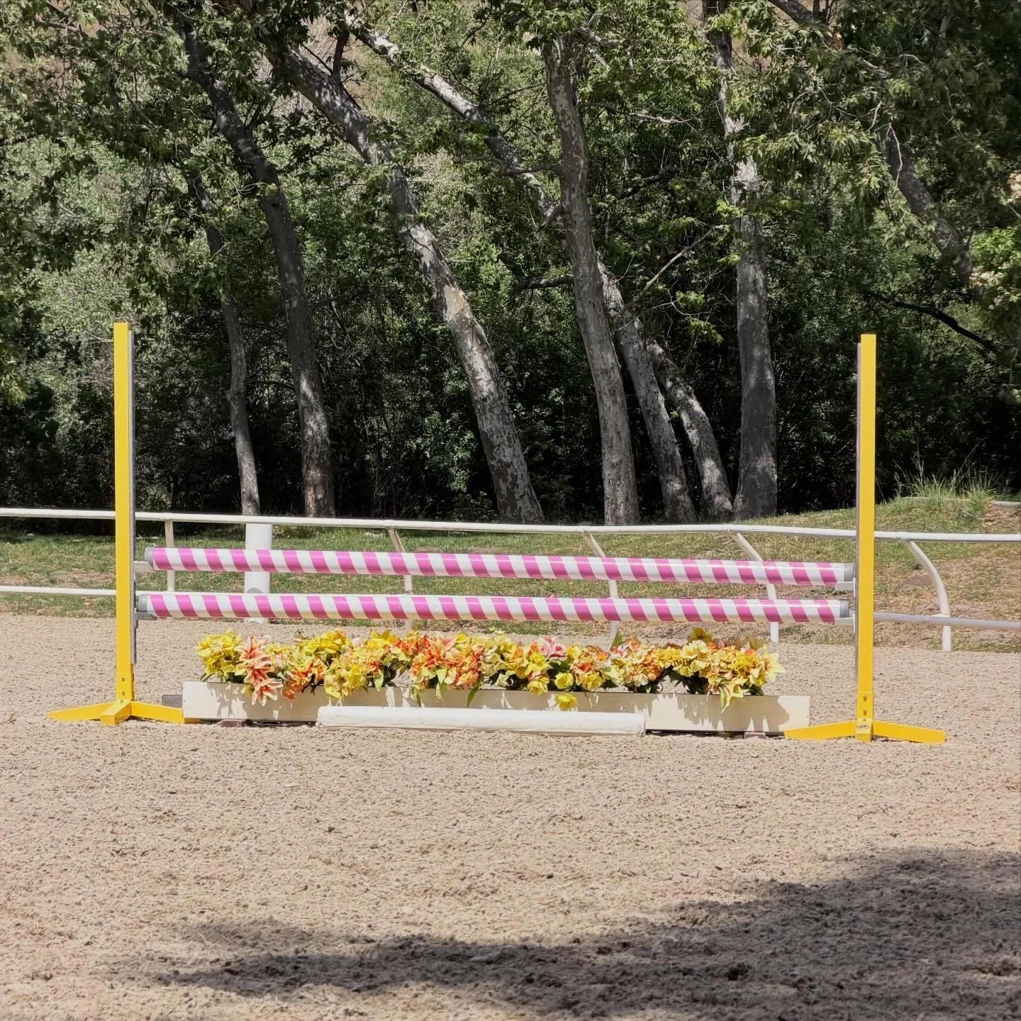 Simple aluminum standards in schooling arena