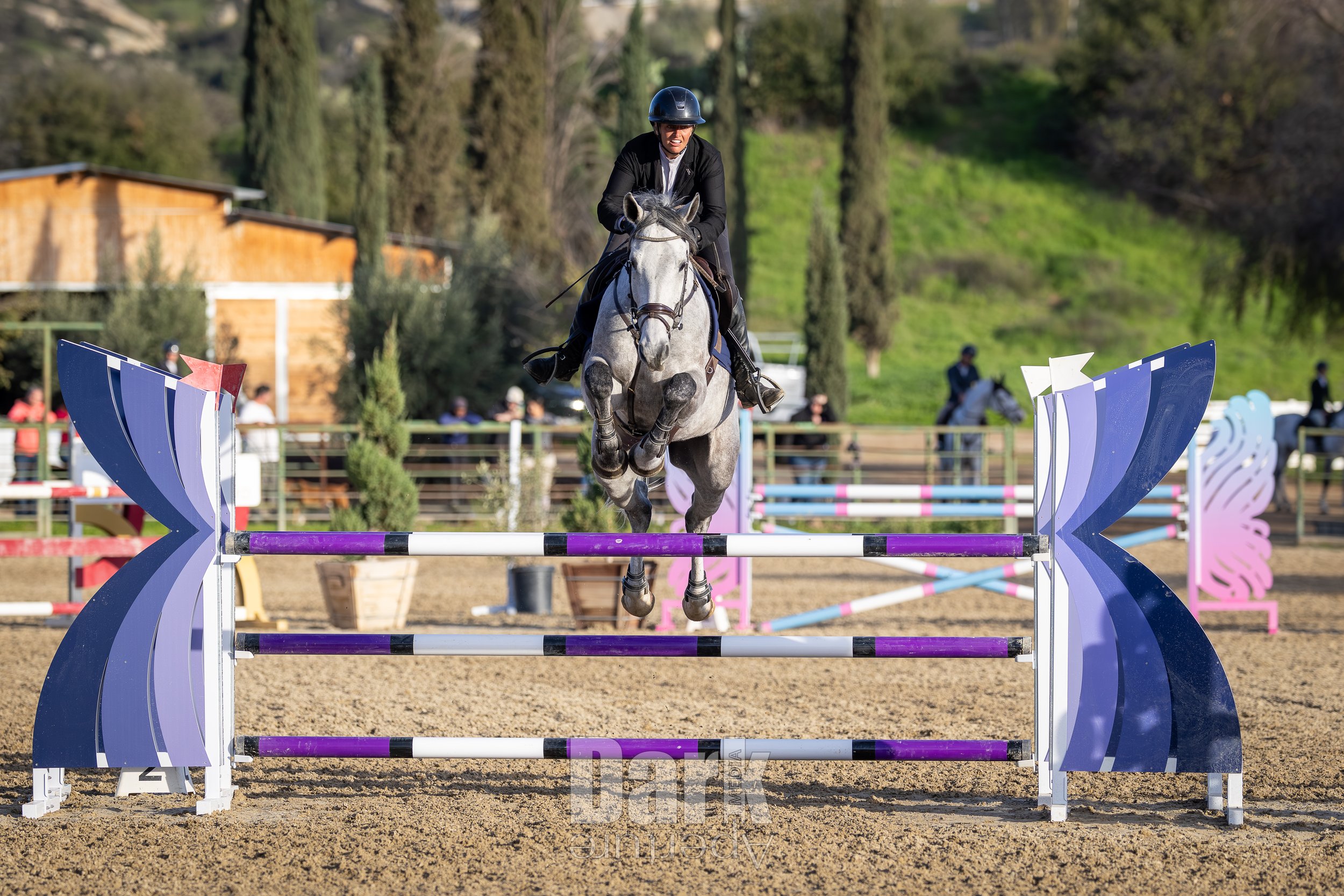 pangaia jump at Global Sport Horse show