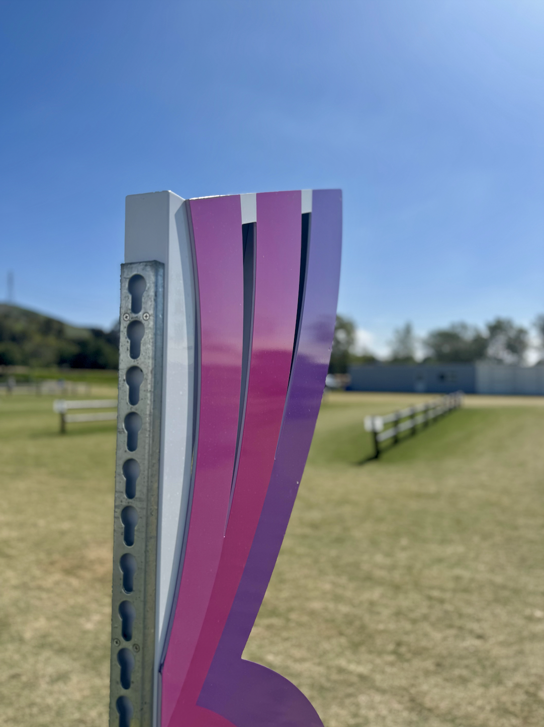 Pink Harmony Arc Jump Stands