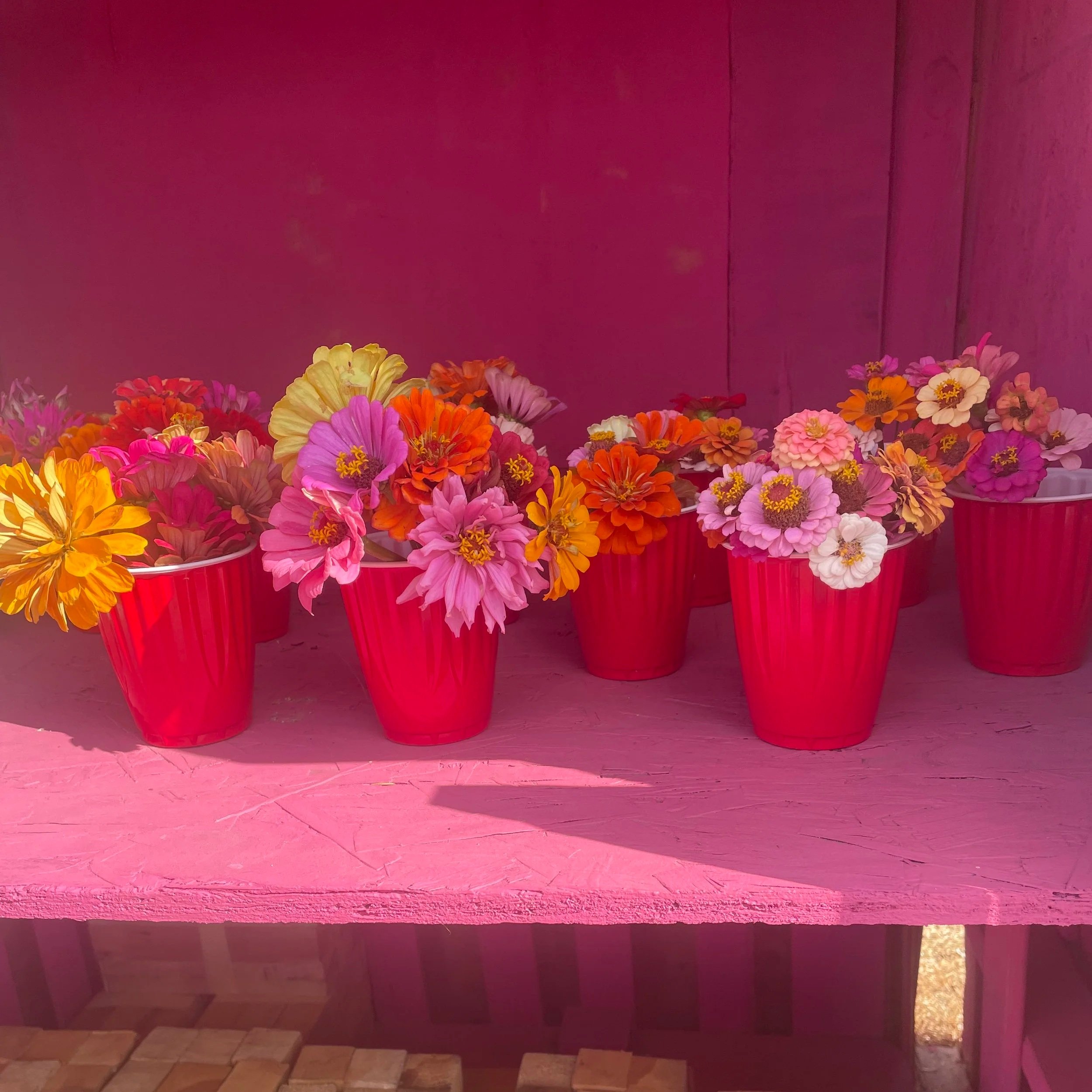 blooms-bouquet.jpg
