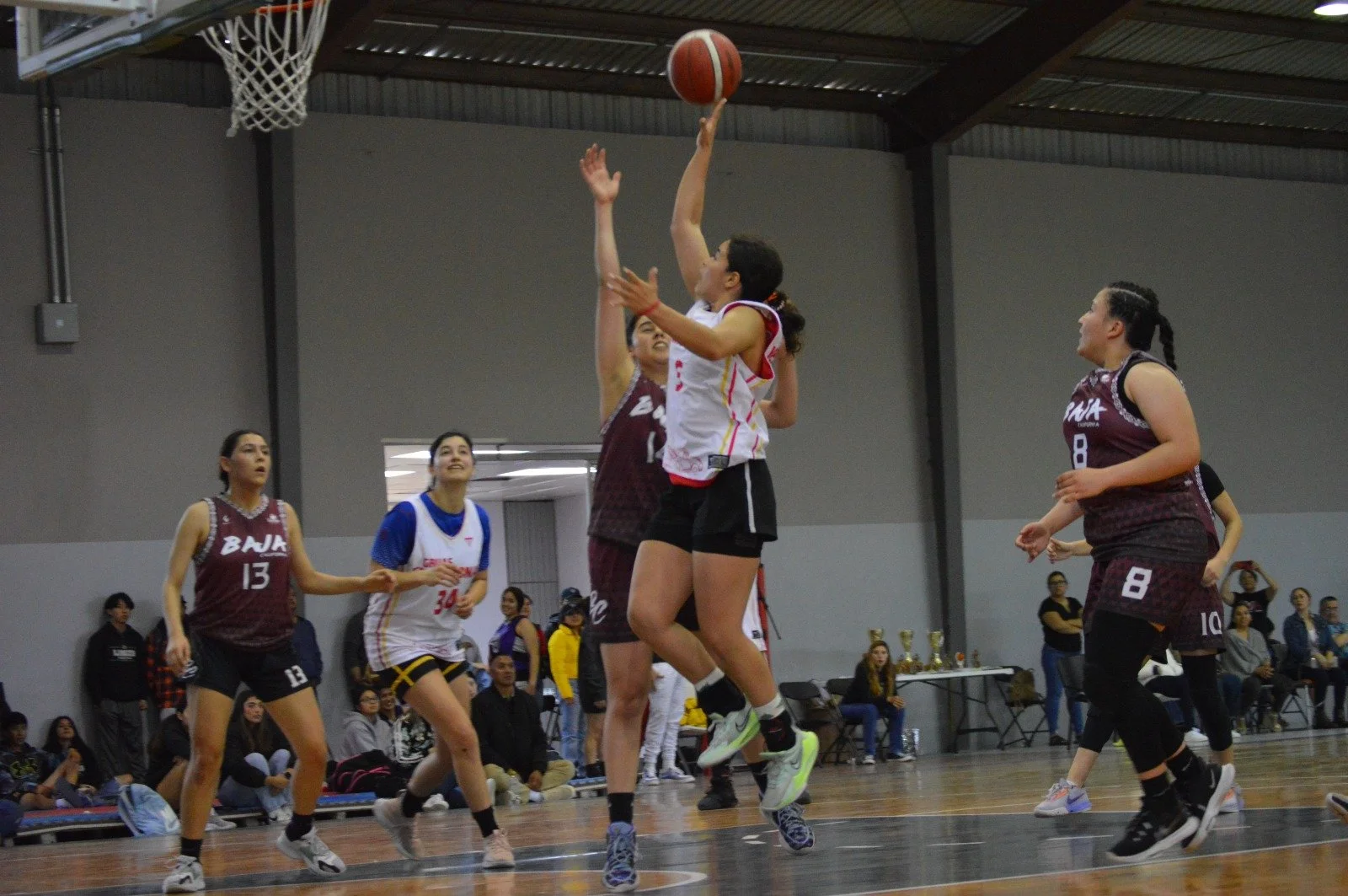 WhatsApp Image 2026-01-10 at 8.51.32 PM.jpeg