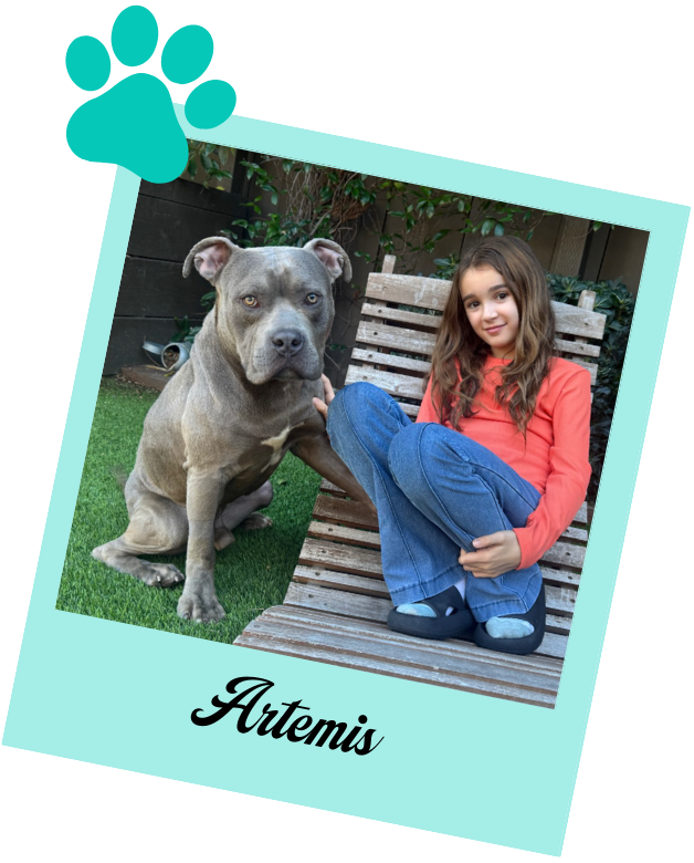 Los Angeles Dog Shelter