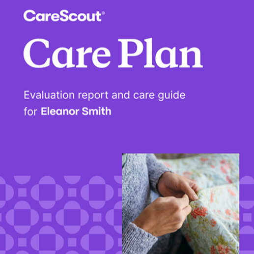 Care Plan: Mixed-Methods Research