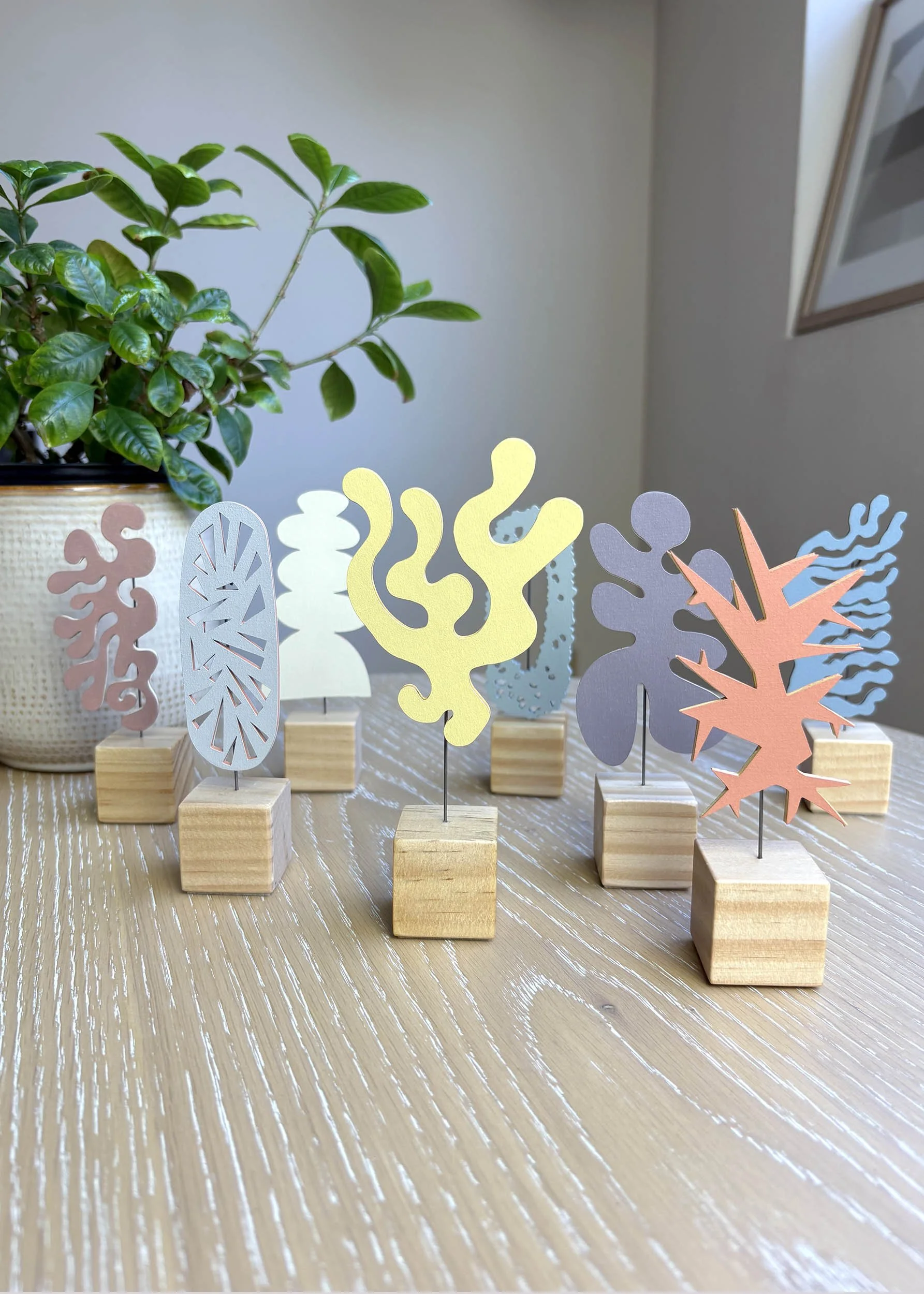 Echo 8 with plant02 .jpg