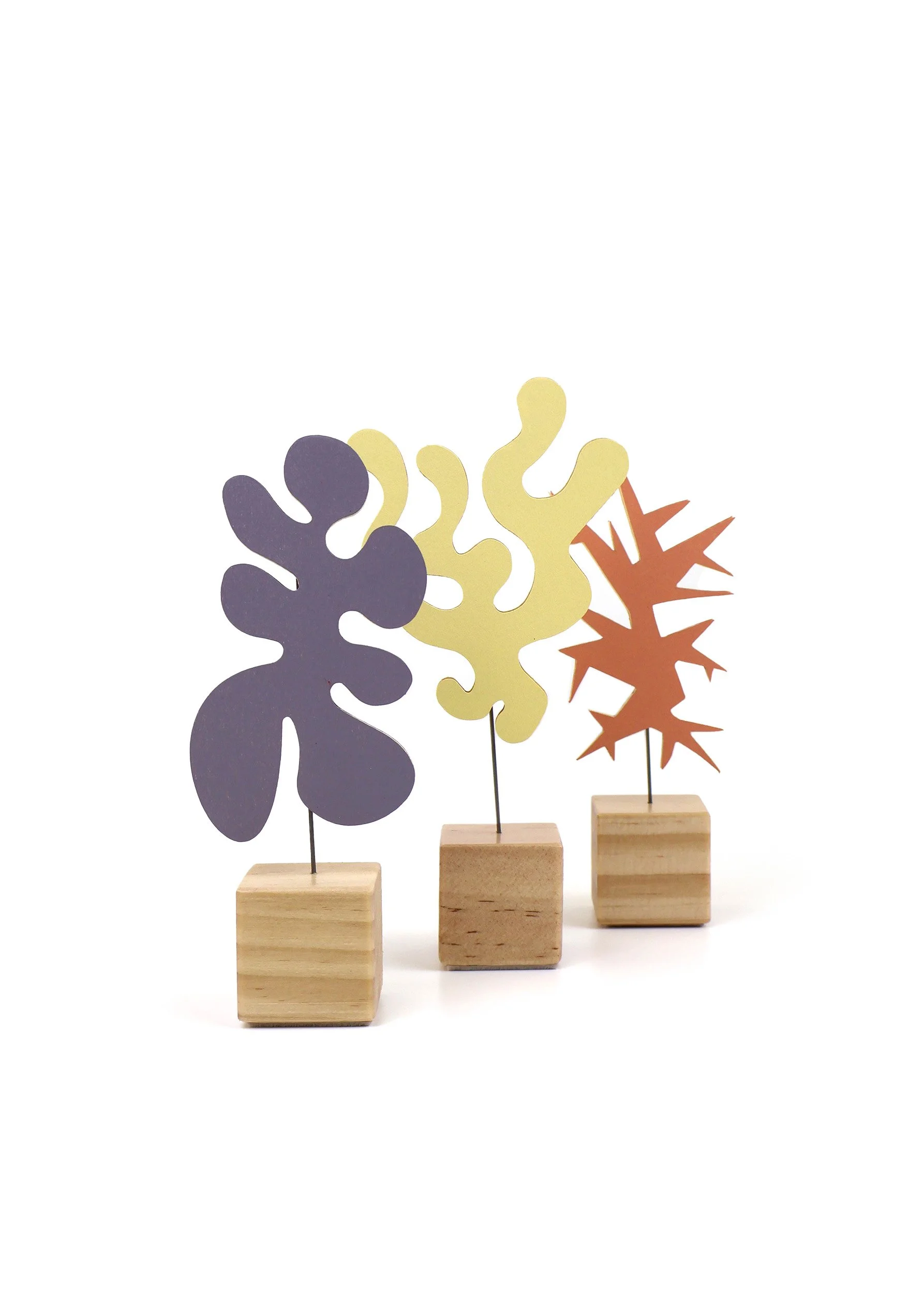 Echo Collection - Three Form