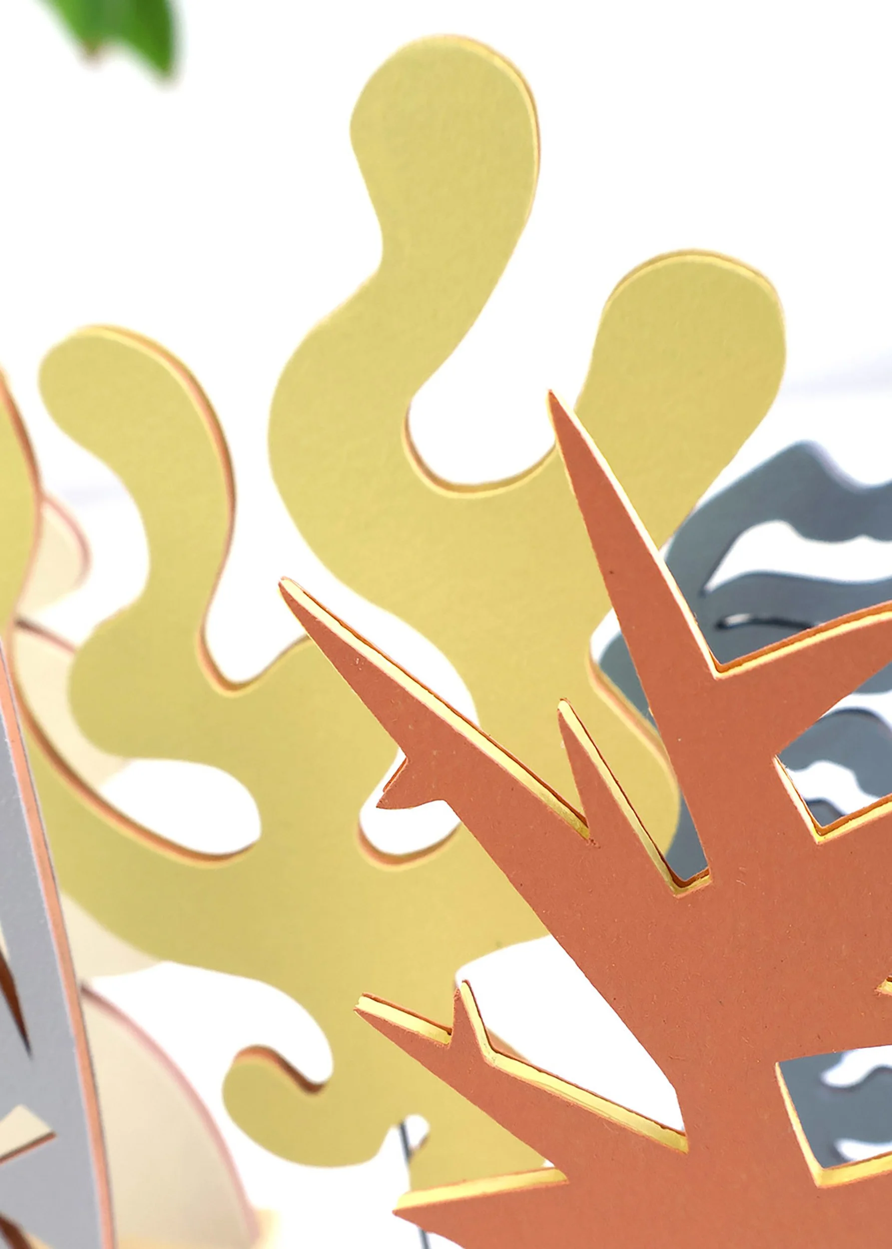 Echo close up 3 shapes .jpg