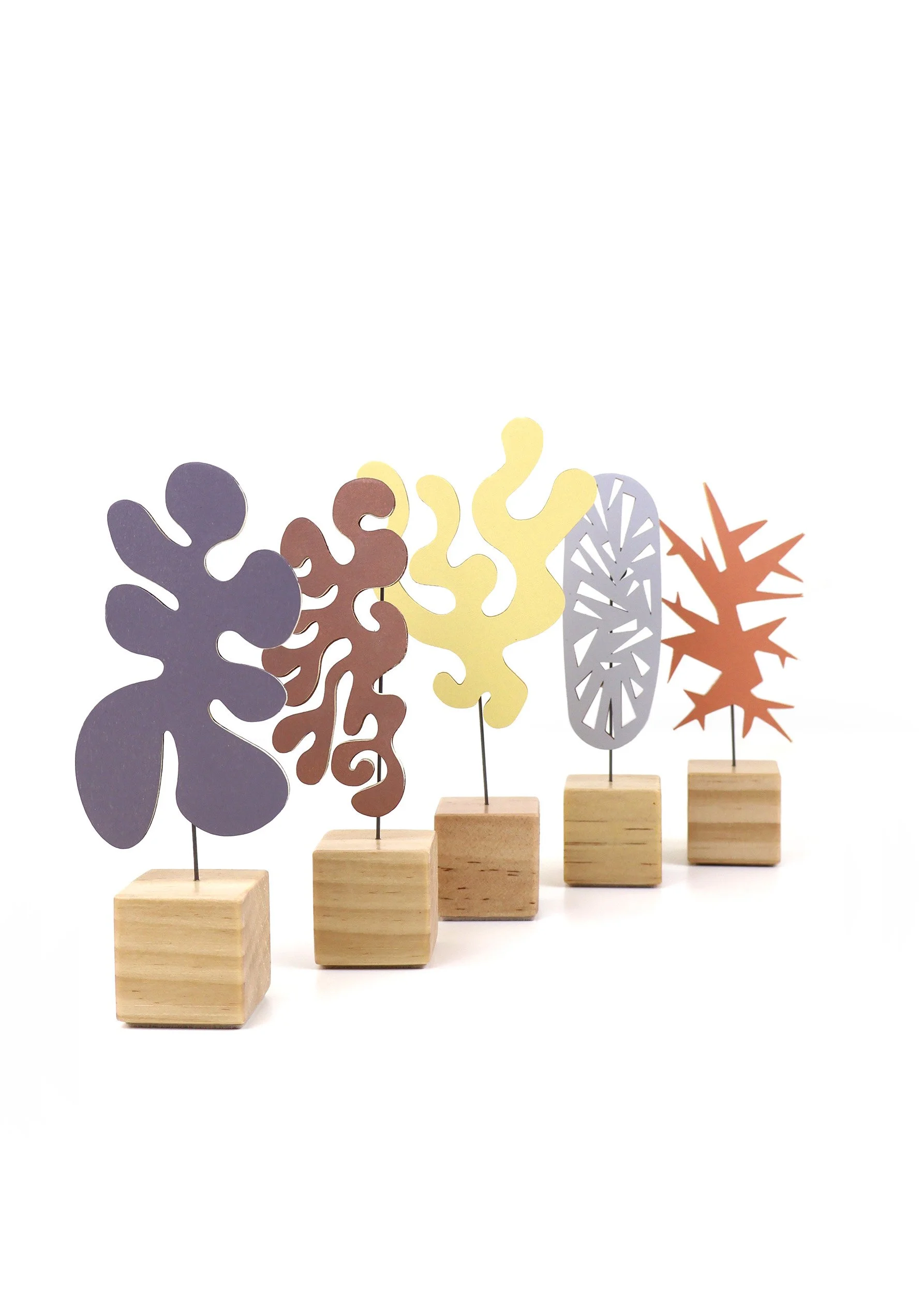 Echo Collection - Five Form