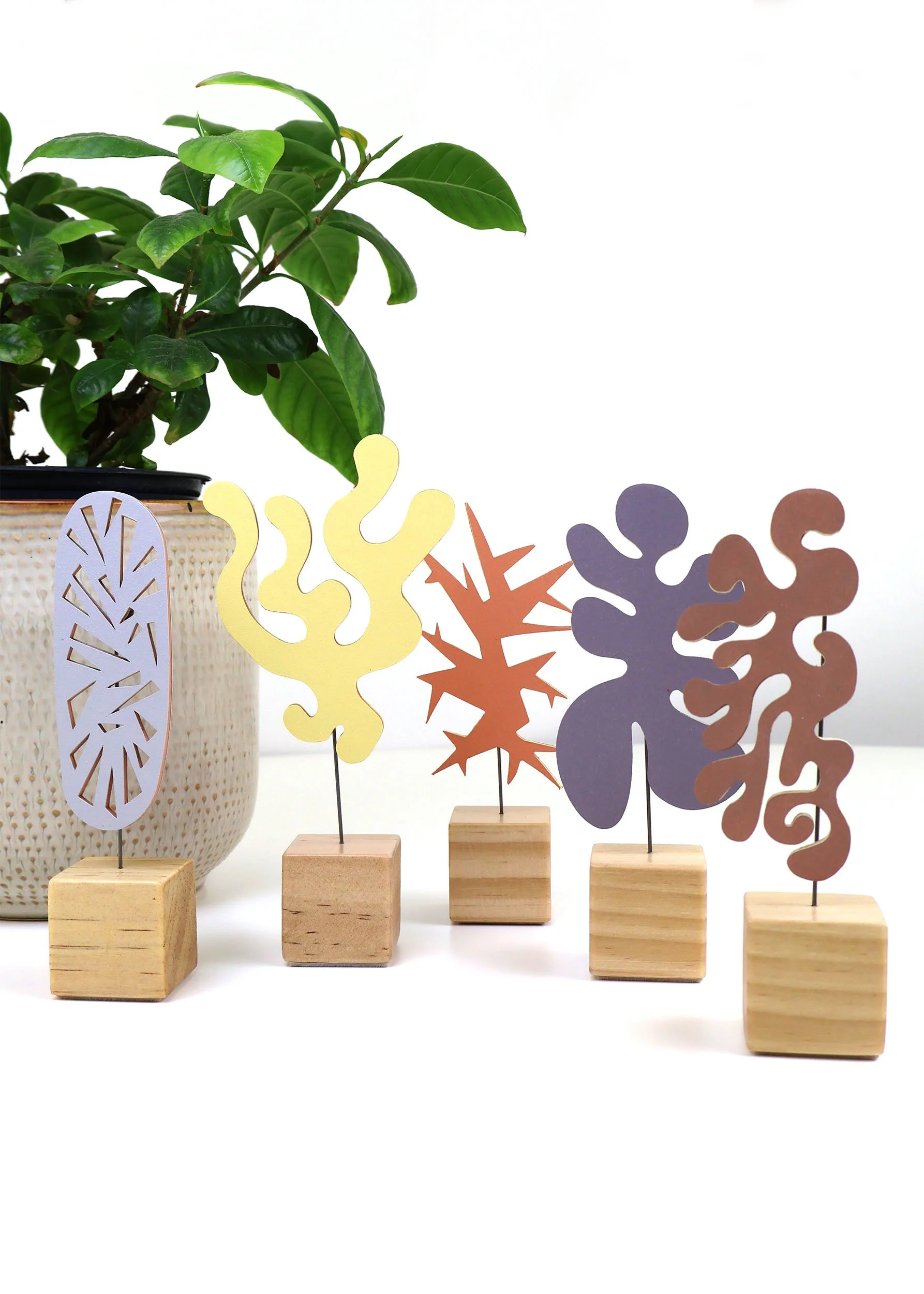 Echo 5 with plant.jpg