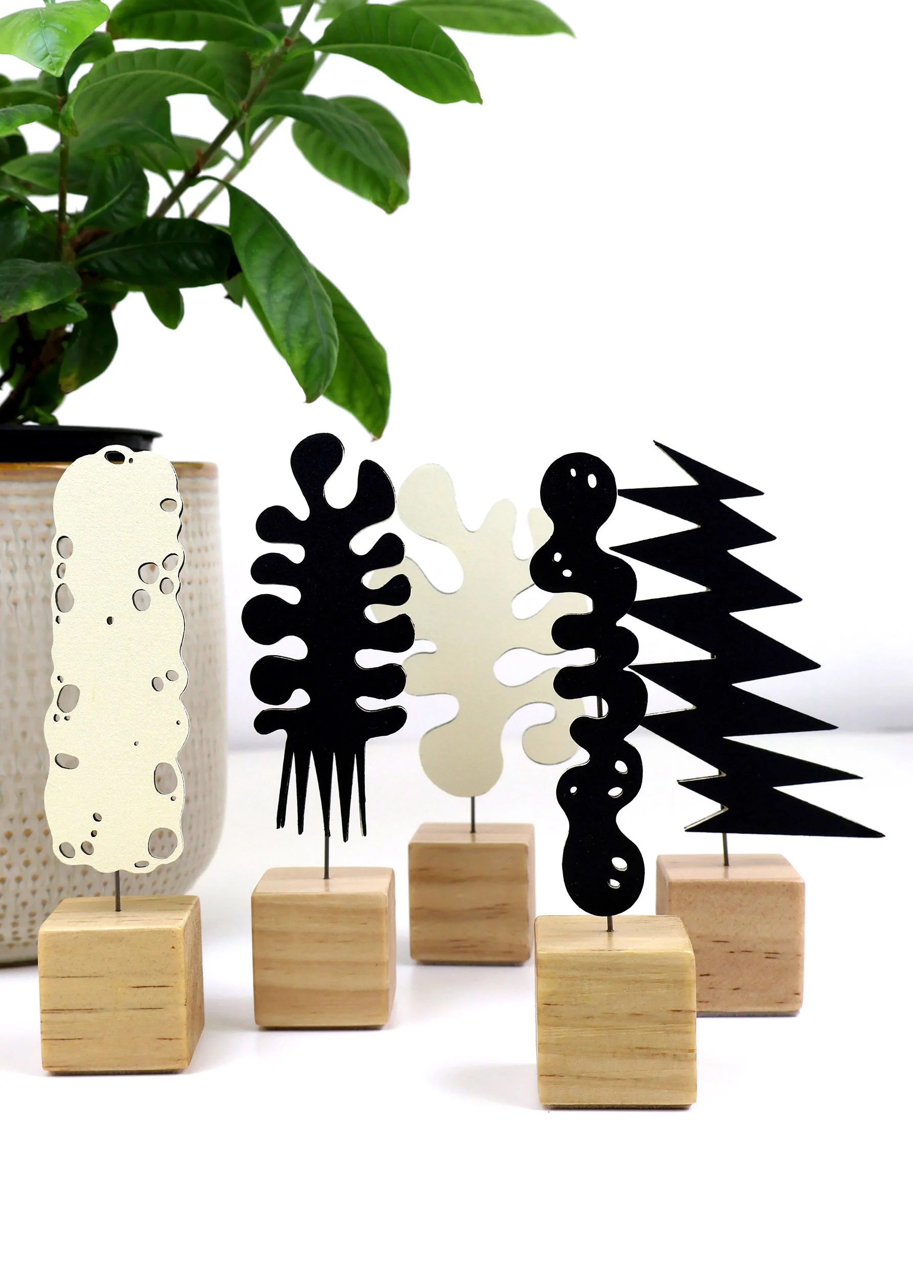 Duo 5 with plant.jpg