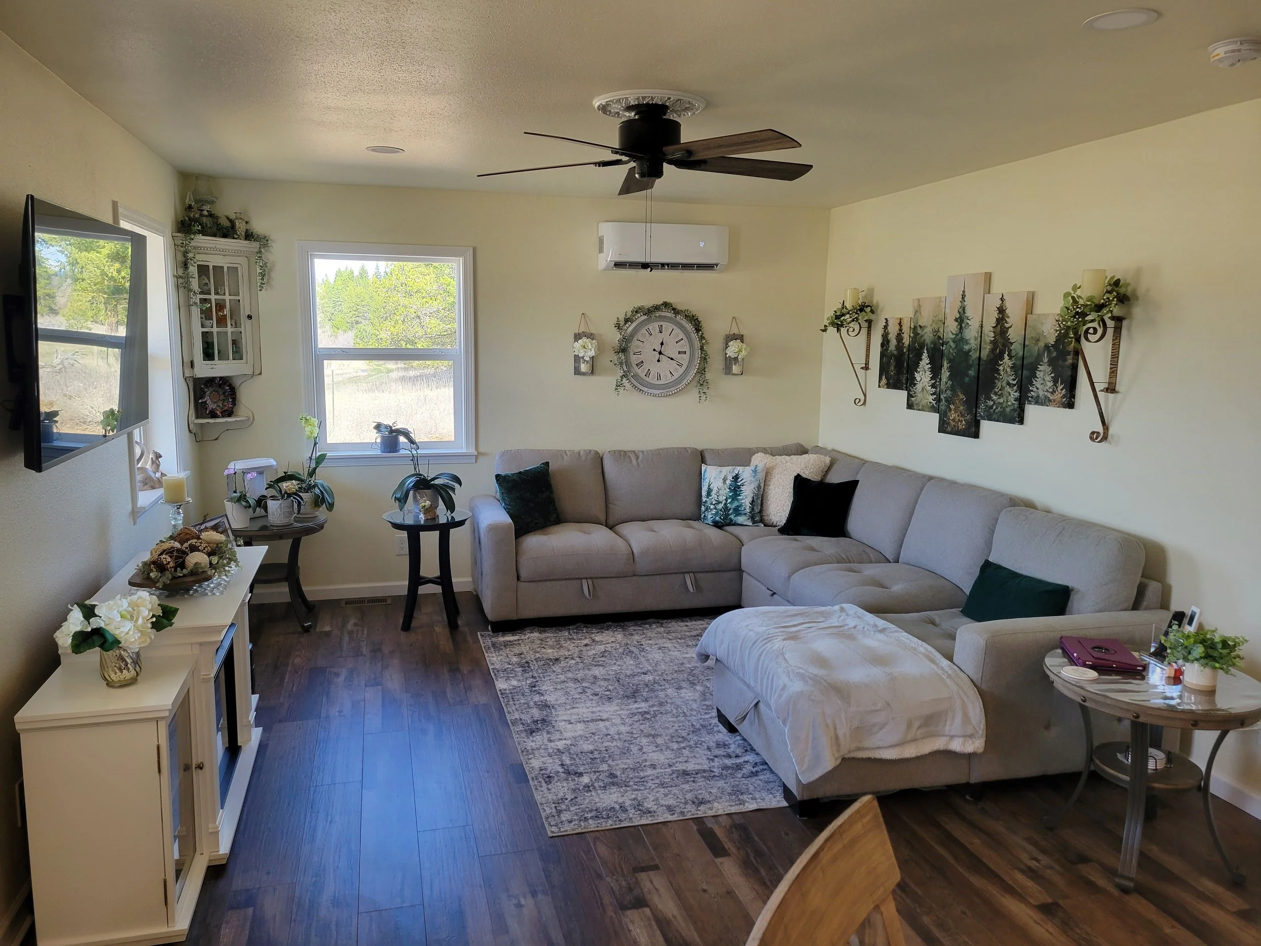 Living Room Reduced.jpg