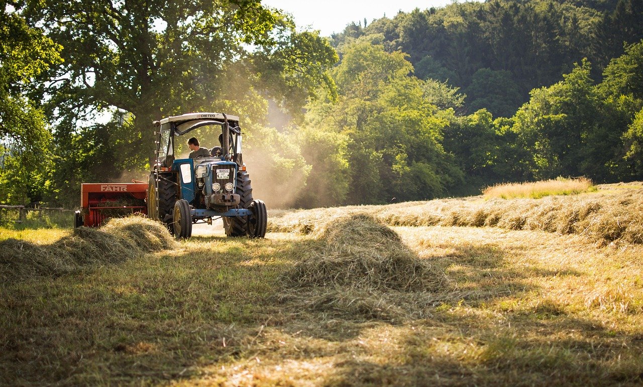 Life Of A Farmer