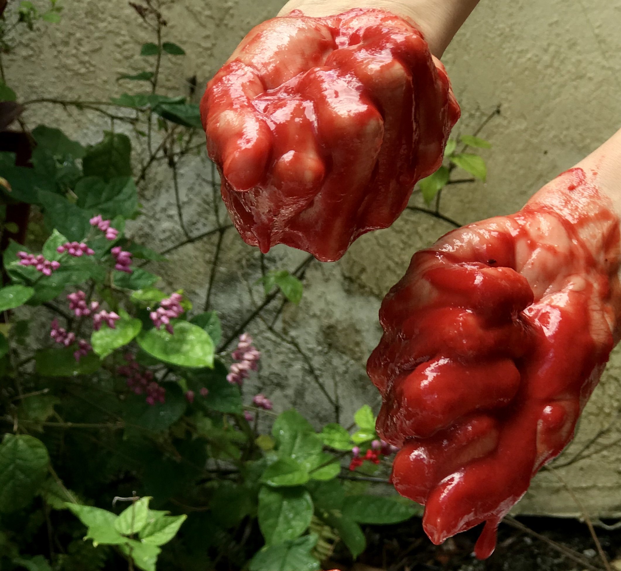 Repudiation of Consciousness performance, 2020, Mix natural raw paintings, photography / video.