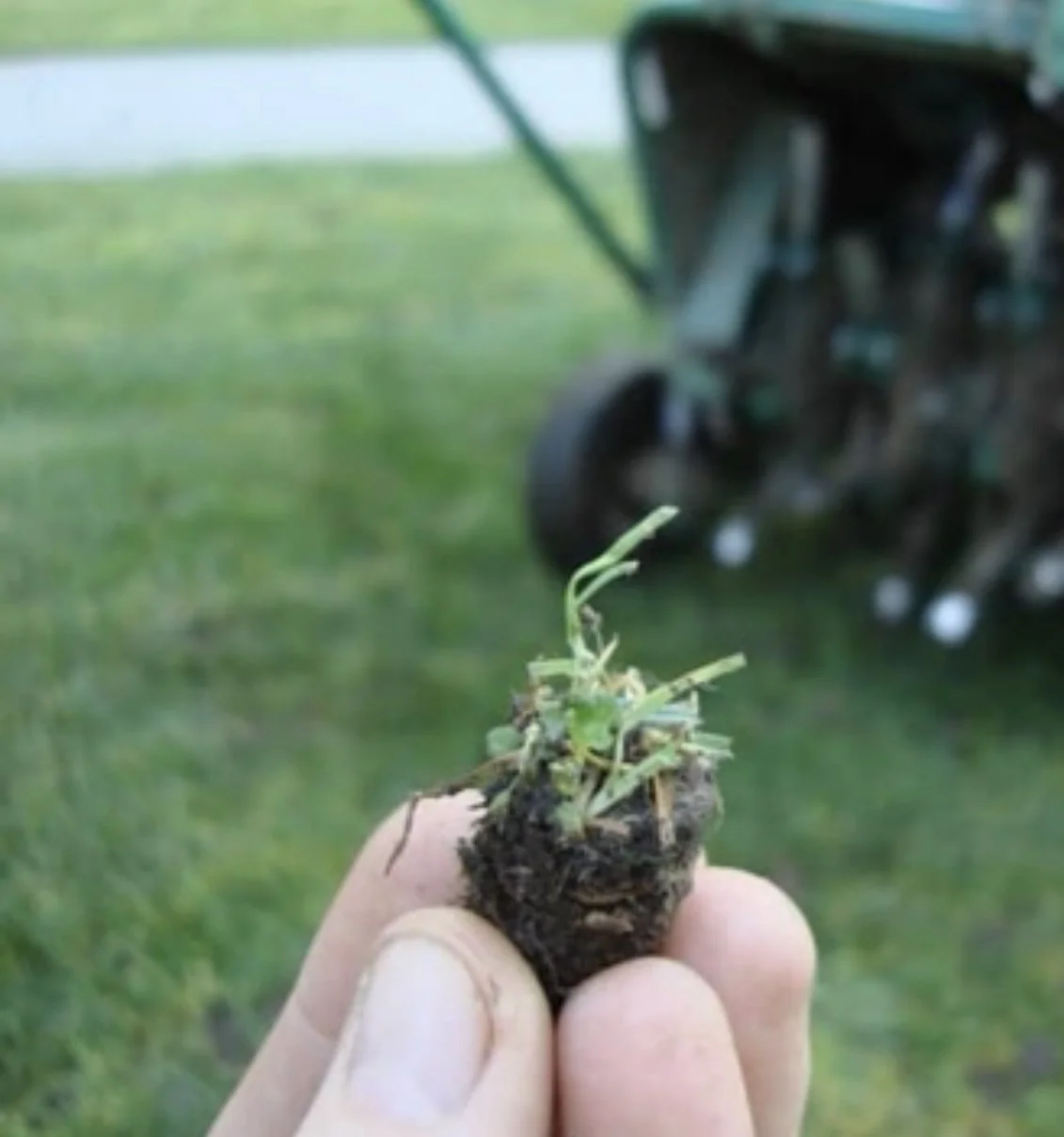 Holding a lawn core up close with aerator in background