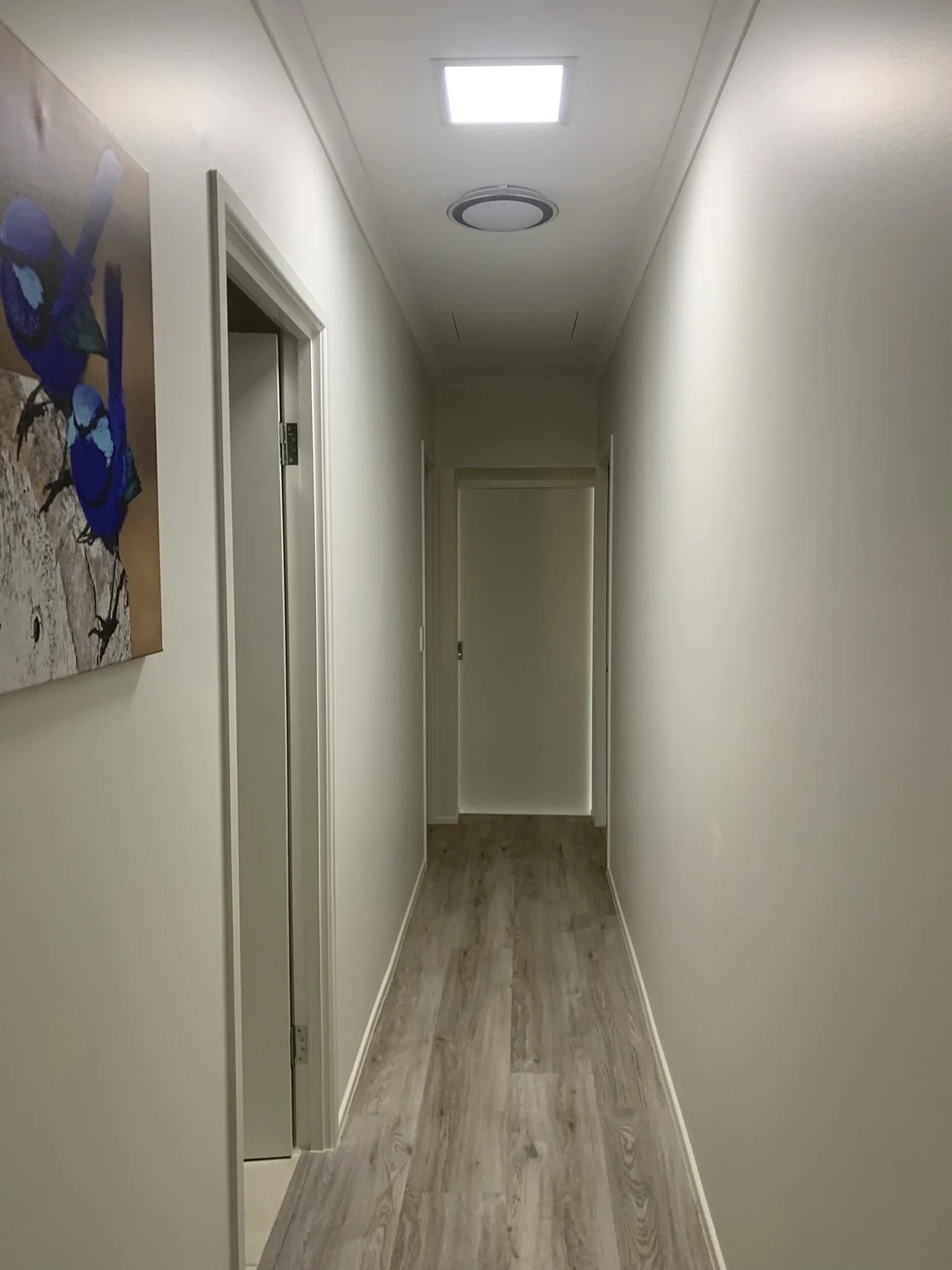 A hallway with light-colored wooden flooring, white walls, and a closed door at the end. There is a vent and a skylight  on the ceiling. A framed picture of blue birds hangs on the left wall.