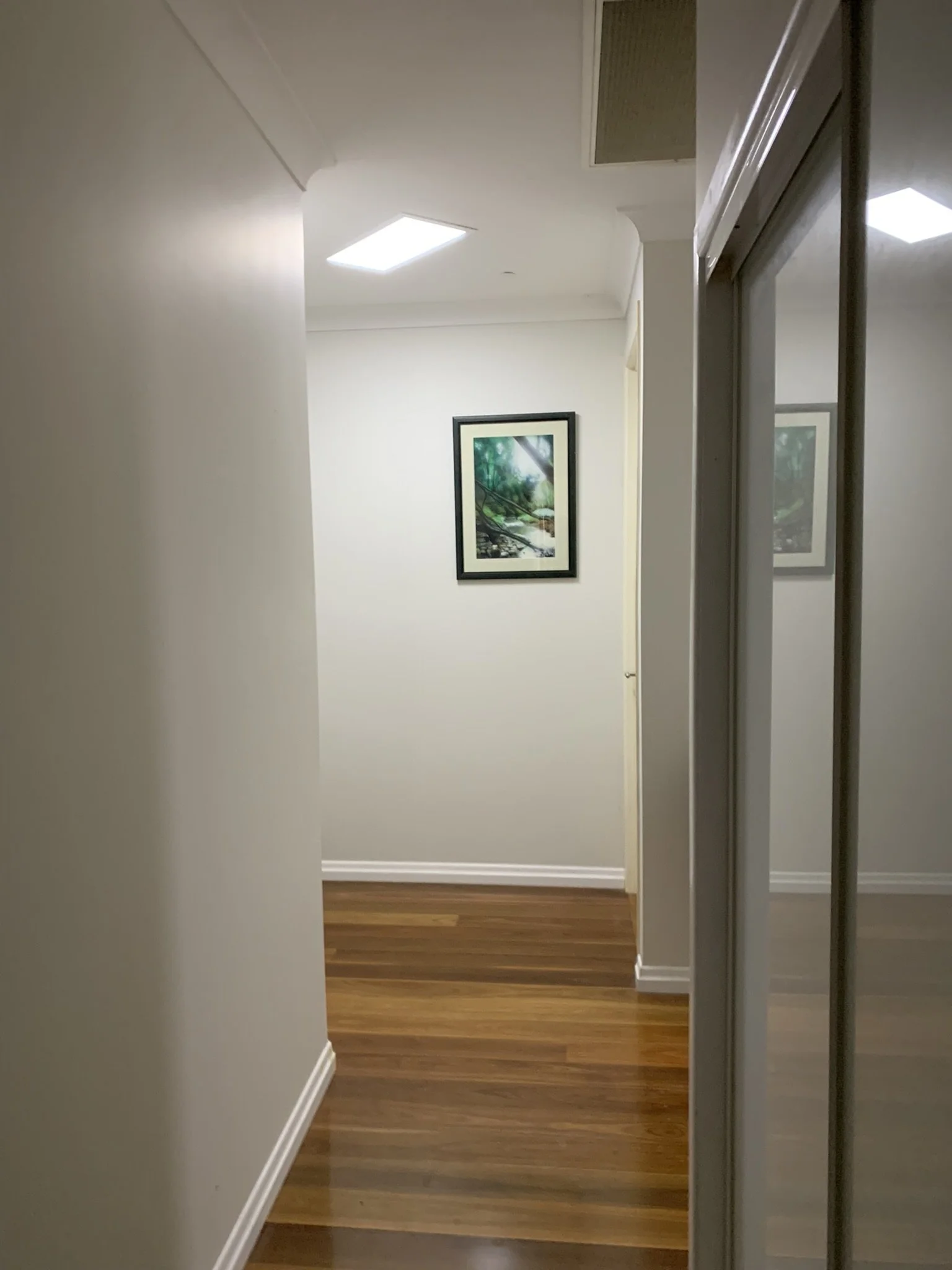A hallway with wooden flooring, white walls, and an illume skylight. A framed painting of a nature scene hangs on the wall. There is a mirrored closet door on the right side.