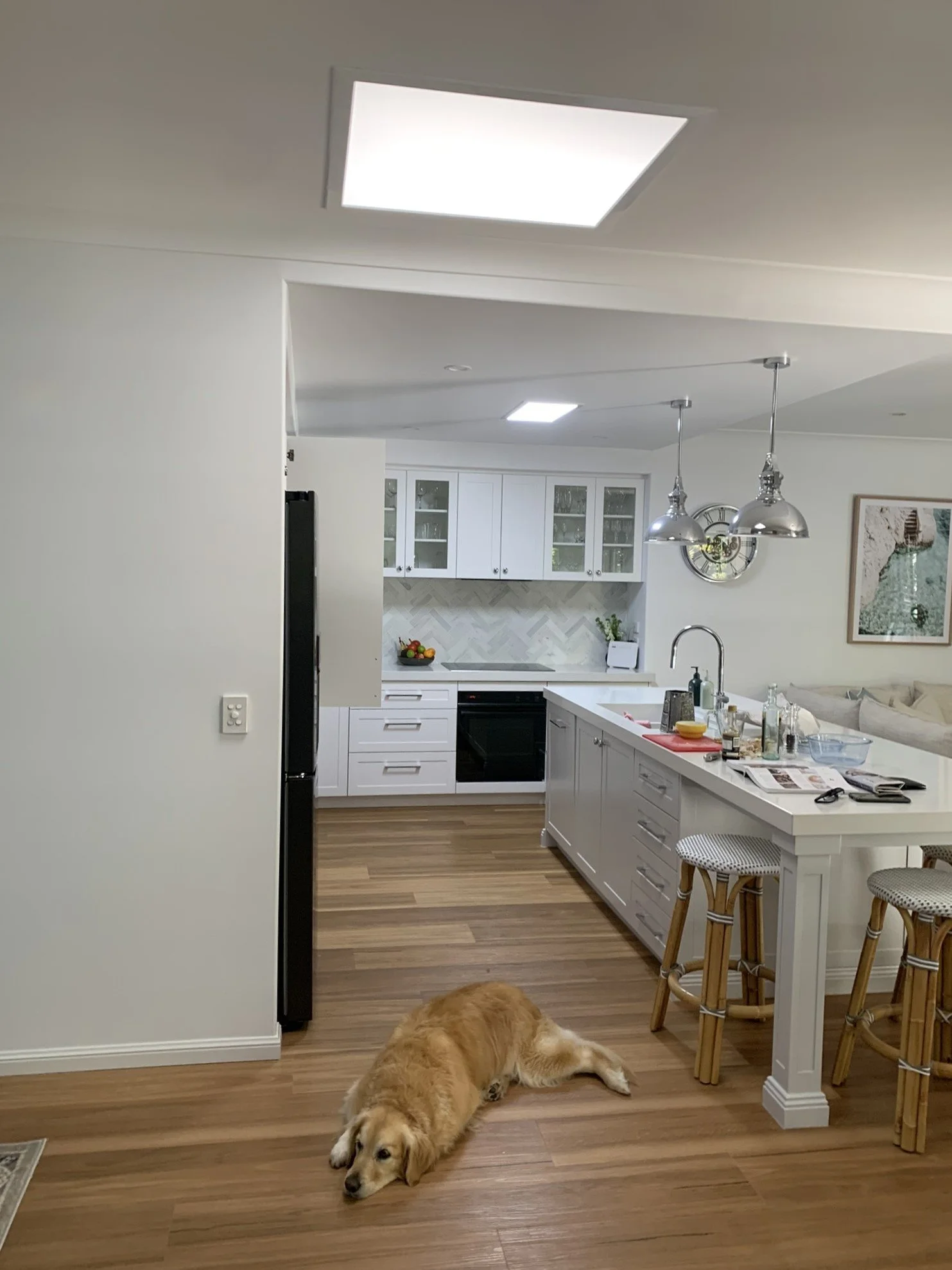 Modern kitchen with white cabinets, light wood flooring, and a center island with bar stools. A golden retriever dog is lying on the floor. Bright space from illume skylight.