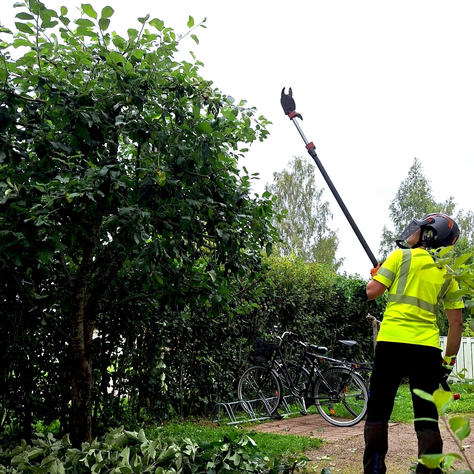 Arboristi leikkaa omenapuuta osana puun hoitoleikkausta Uudenmaan alueella.
