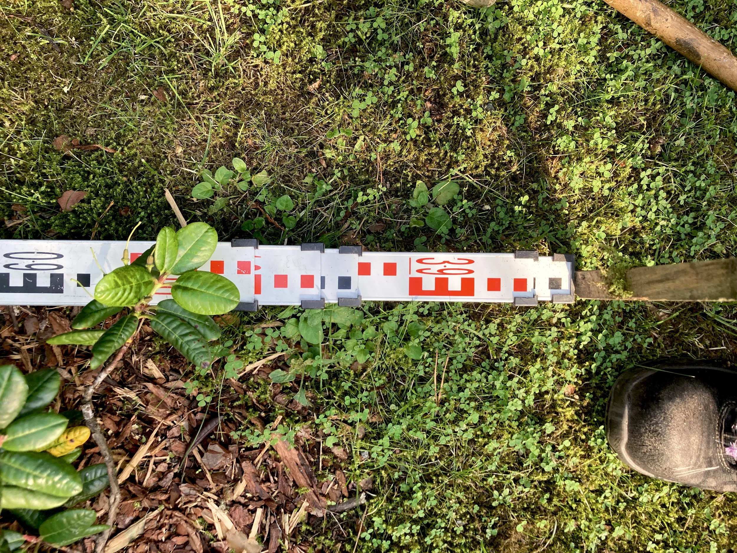 Pihan nurmialueen mittaus viheralueen hoitoa ja suunnittelua varten.