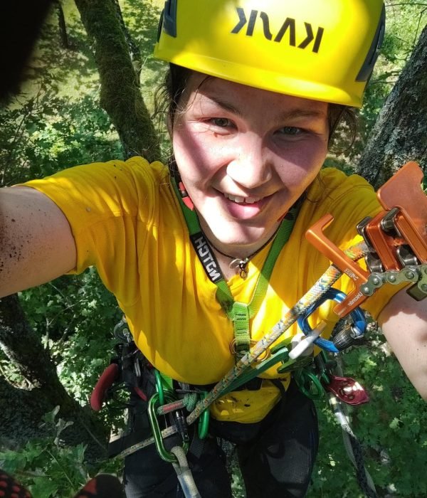 Arboristi työskentelee puussa puunhoidon ja turvallisen puunkaadon parissa – Viherisännöinti Oy