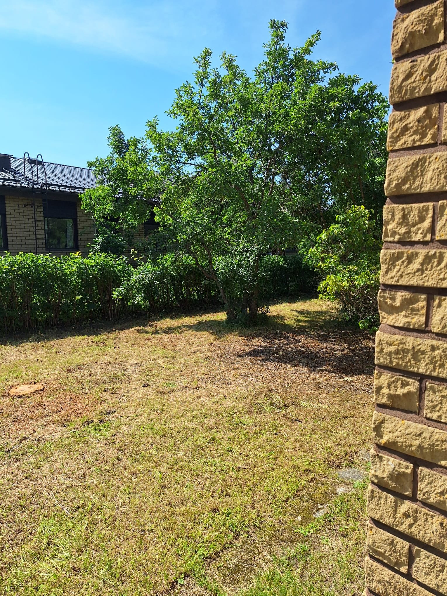 Raivattu piha-alue osana pihojen kunnostus- ja hoitopalvelua.