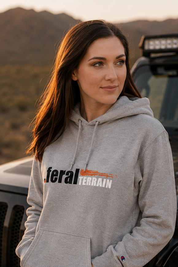 Champion hoodie