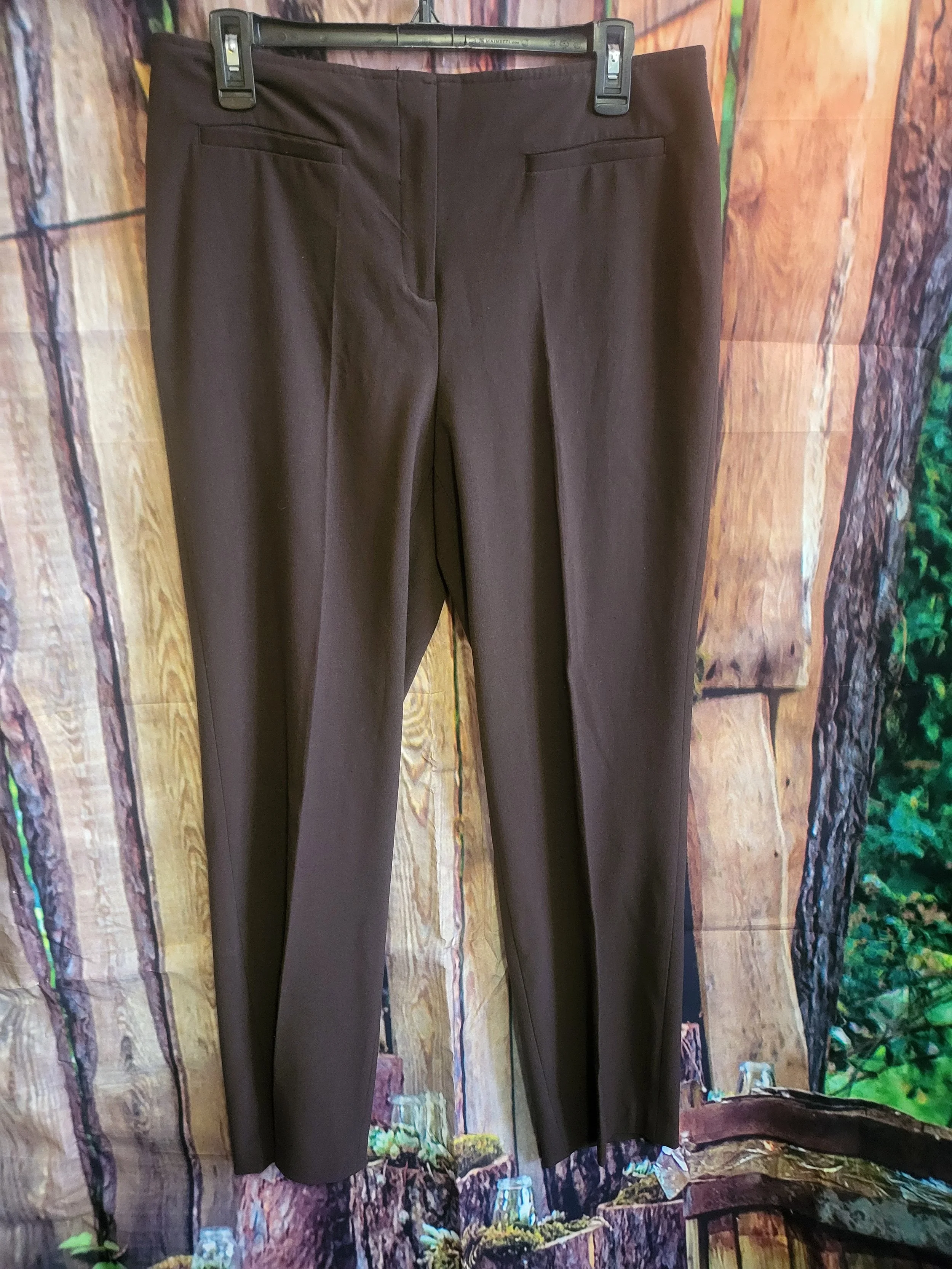 Womens Dress Pants- Size 10P