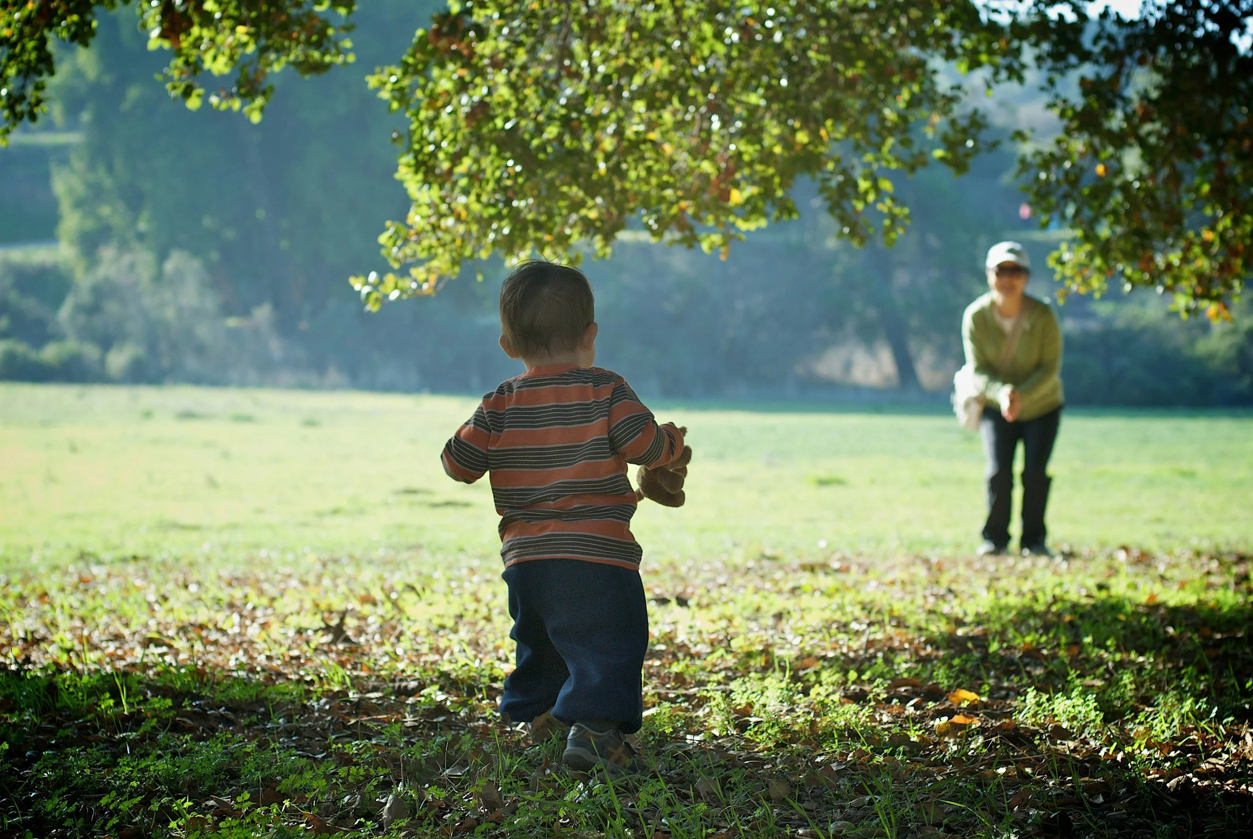 Small boy walking to mother in grass. Homeschooling resources for typical and autistic children. A guide for parents.