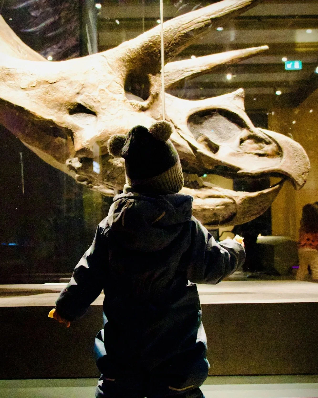 A little boy is gazing with marvel at a giant dinosaur skull from behind a museum exhibit railing.
