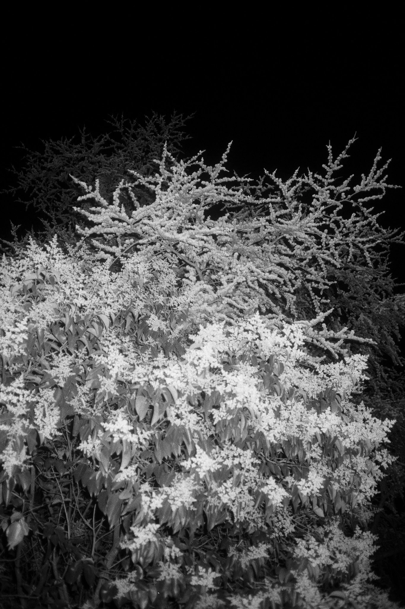 Fête musique_Plage_ (3) 2-2.jpg