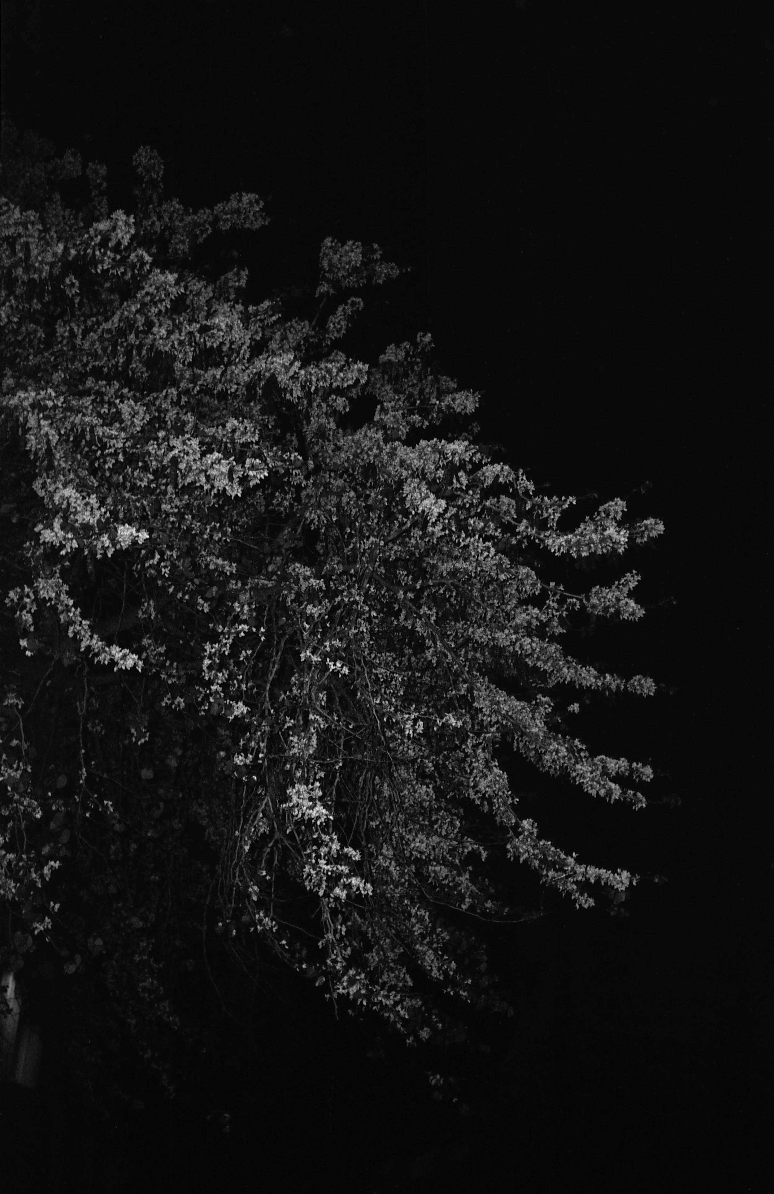 2024_D_025 copie.jpg