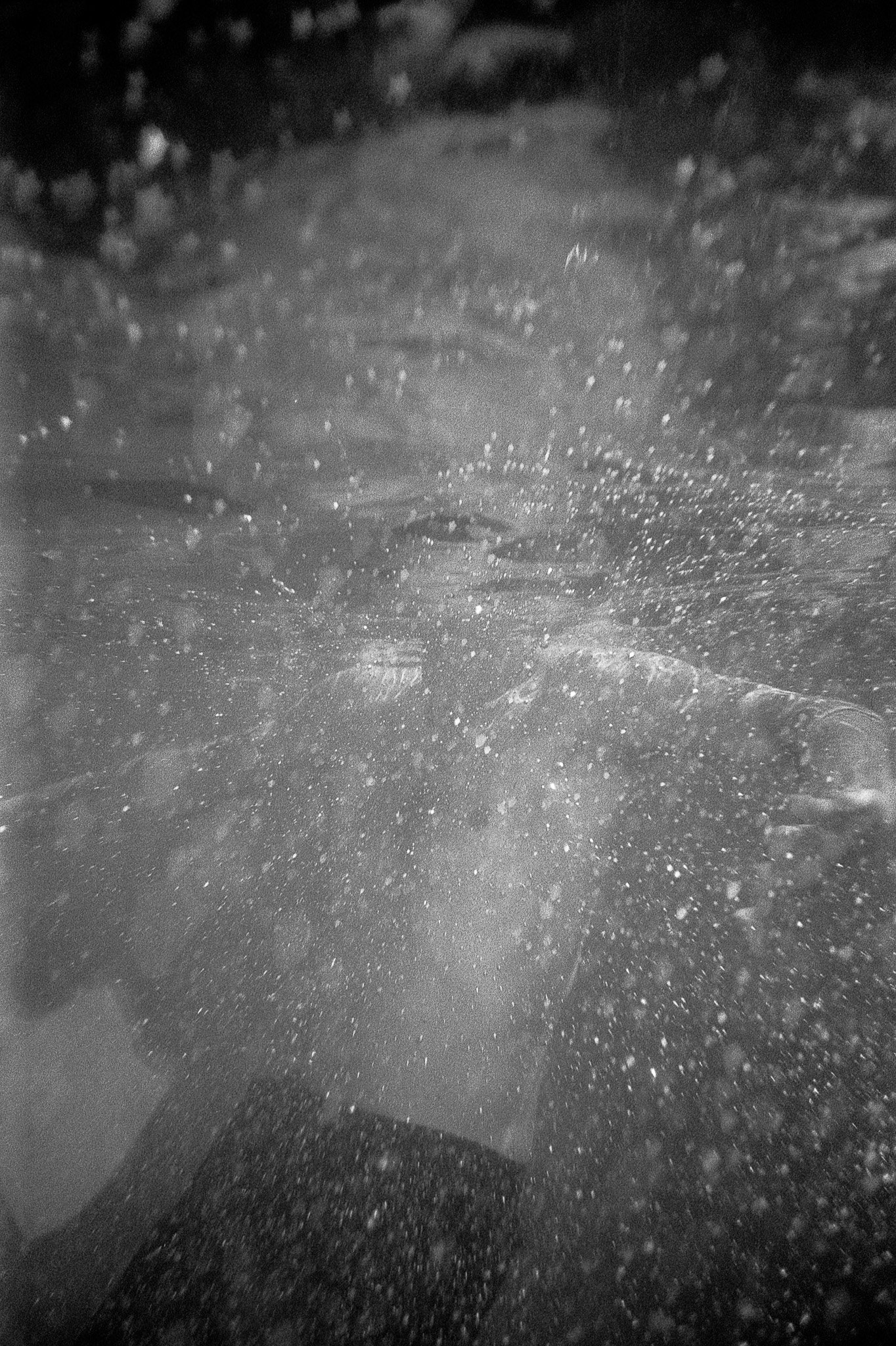 Untitled (18) copie-2 copie-2.jpg