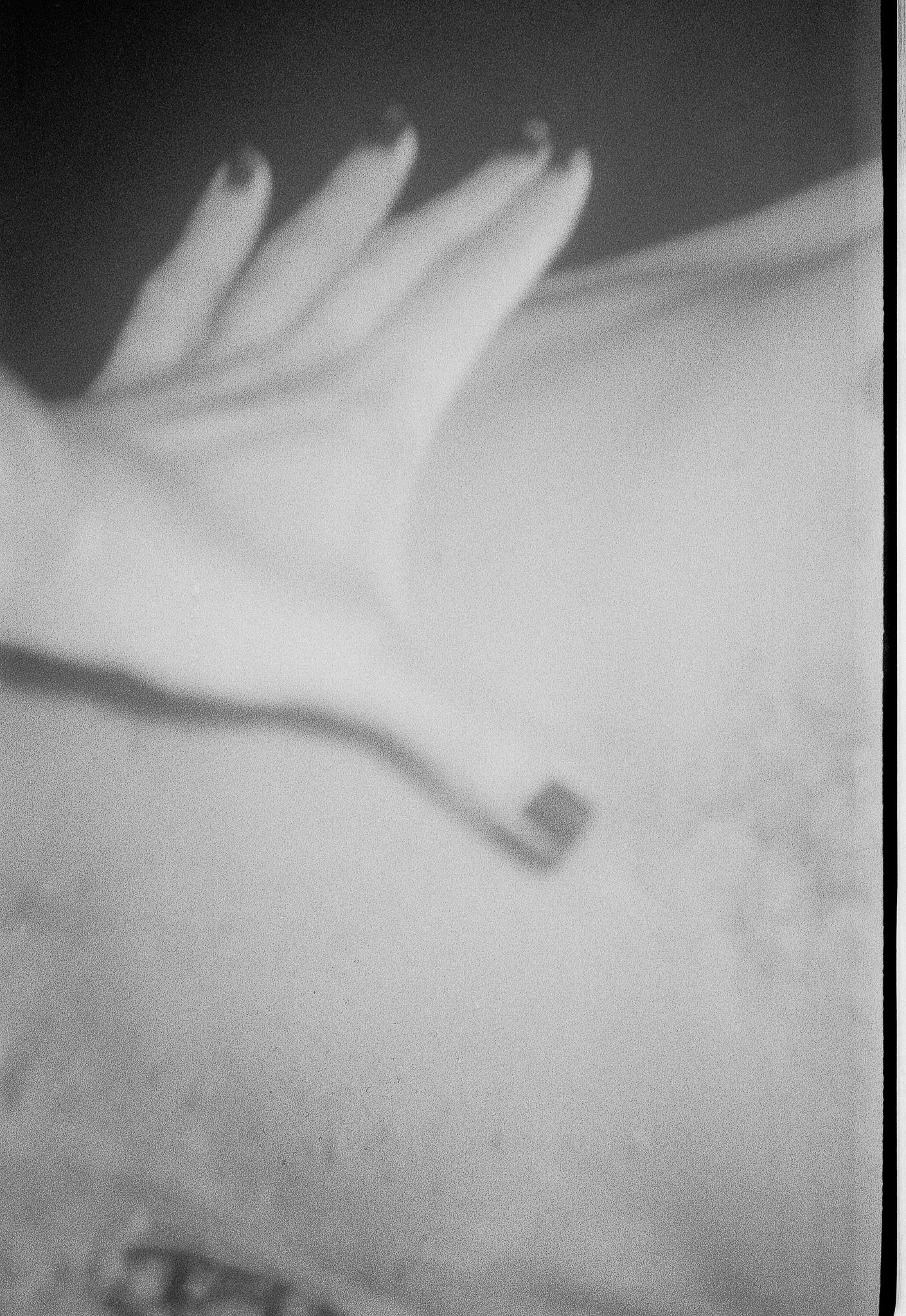 Untitled (19) copie-2-2.jpg