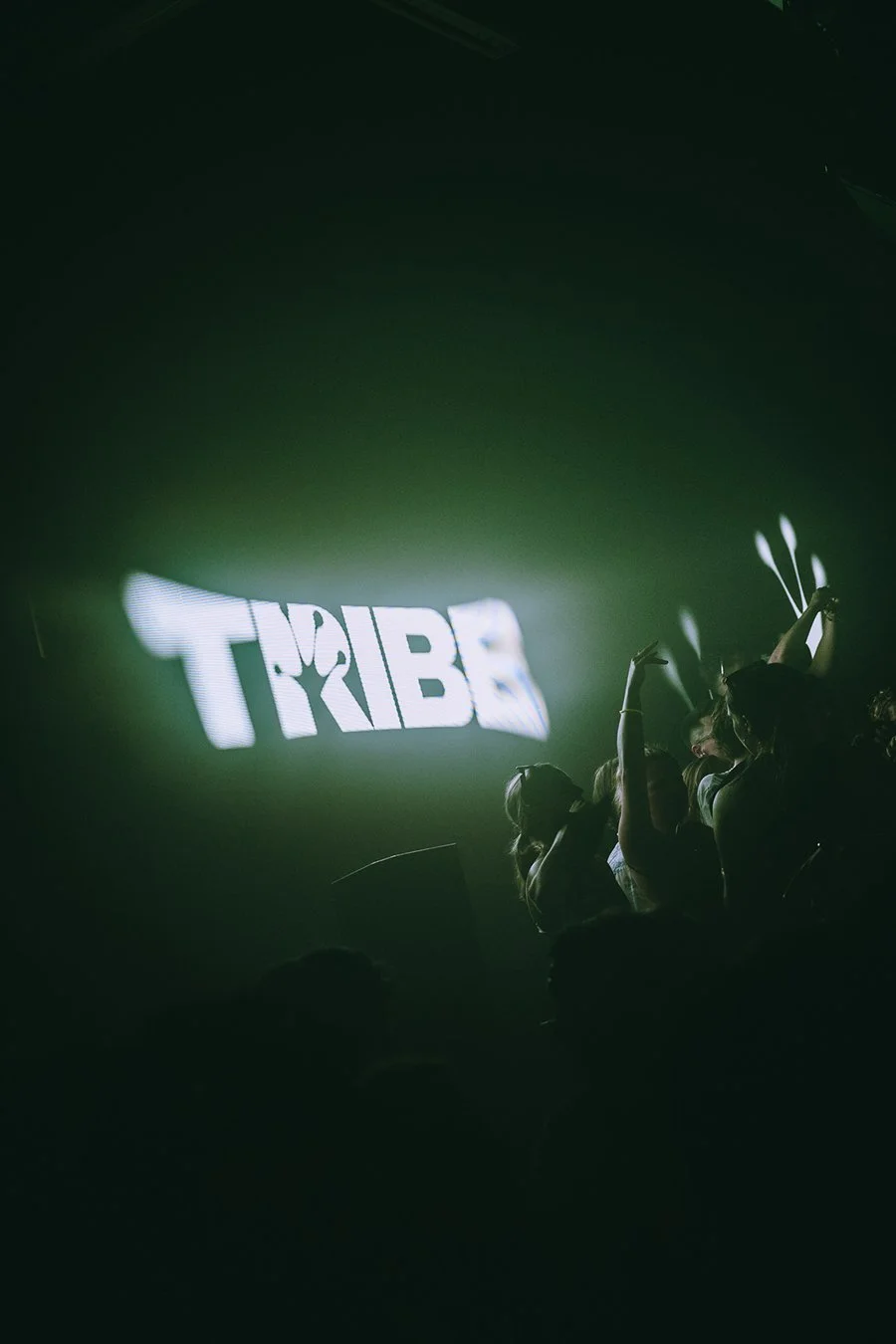 20251025_INTERCELL_TRIBE_JESSEWENSING_132 2.jpg