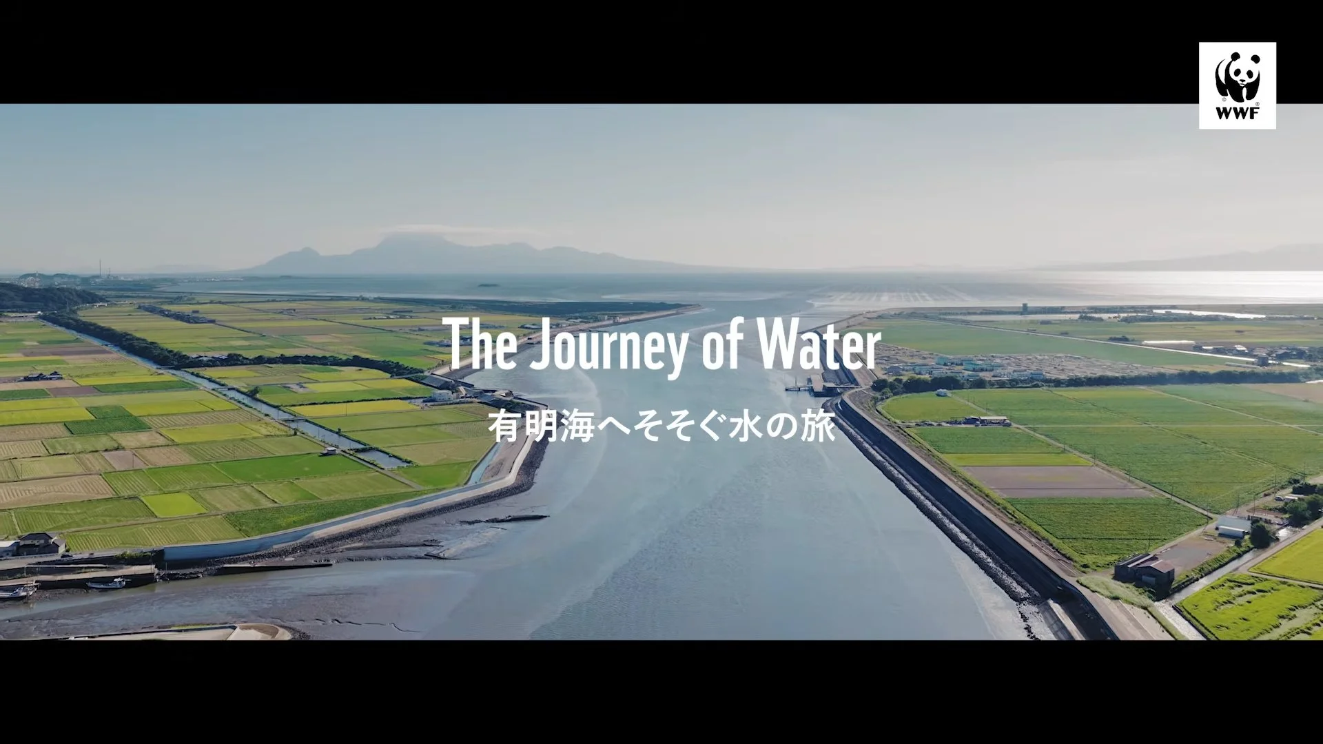 流域治水と生物多様性の両立をテーマにしたショート・ドキュメンタリーを制作しました｜WWFジャパン