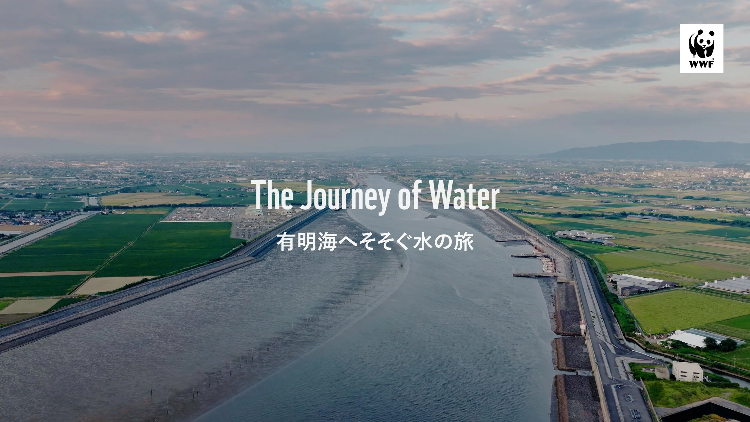 流域治水と生物多様性の両立をテーマにしたショート・ドキュメンタリーを制作しました｜WWFジャパン