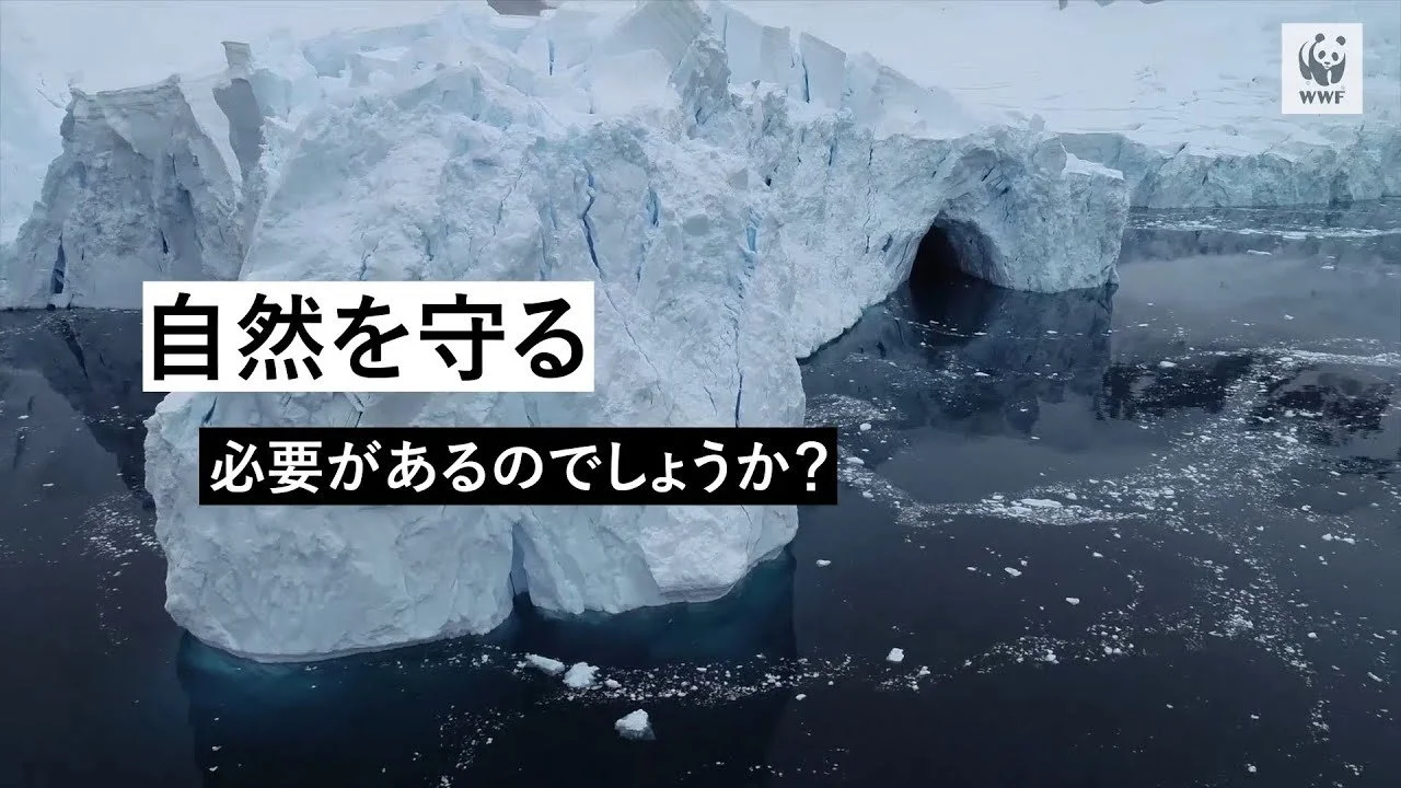 WORKS紹介：『WWF ジャパン』活動紹介動画