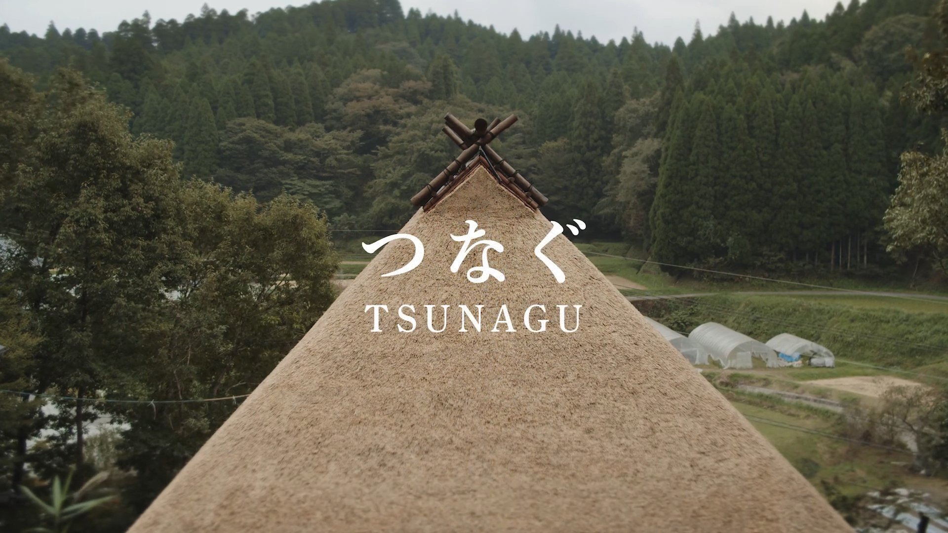 茅葺屋根プロジェクト – 吉原ごんべえ村