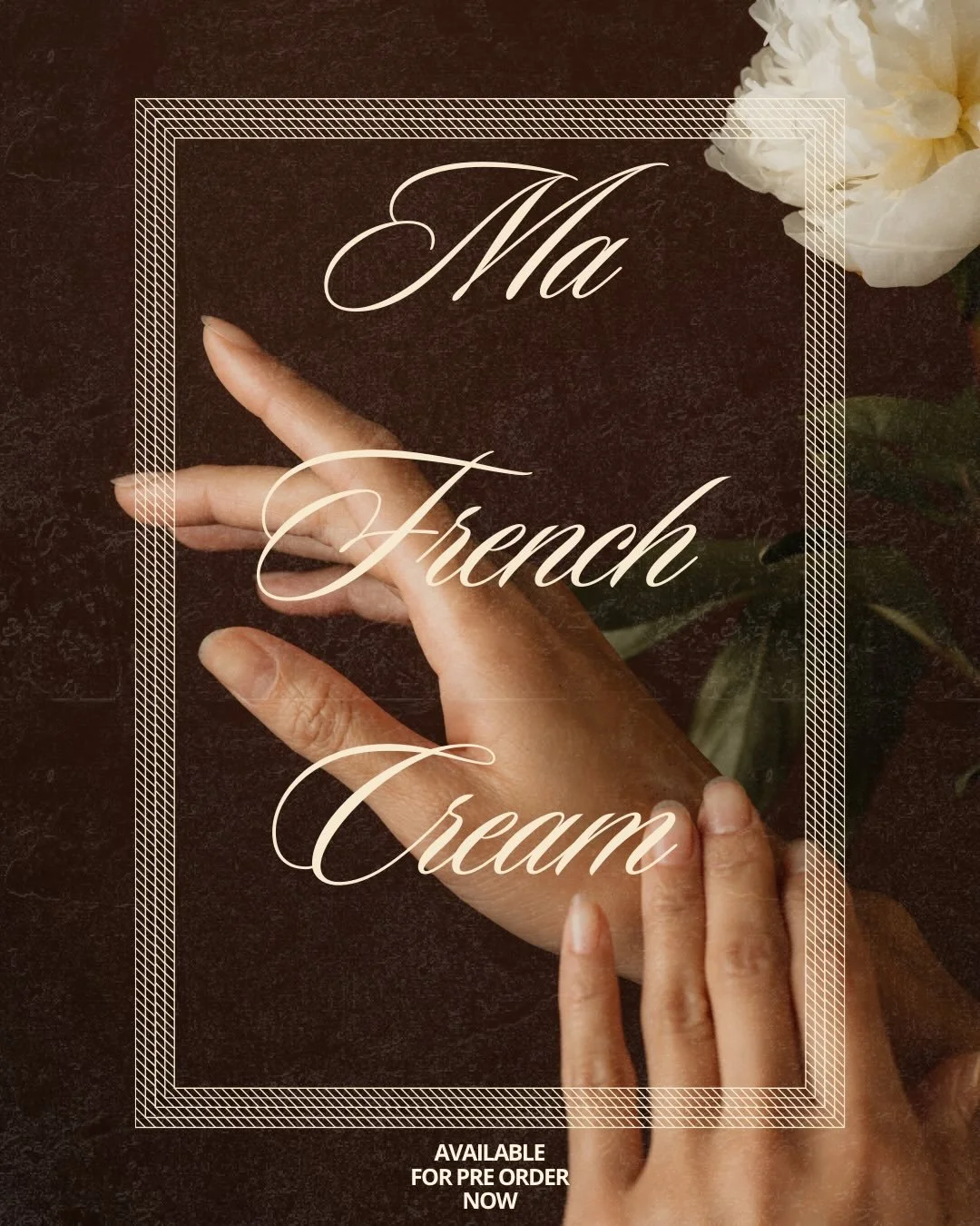 A cream that feels as good as it looks.

We built the brand and produced the shoot for @myfrenchcream to make sure every frame reflects who they are.

📸 : @salomerateau

#Skincare #FrenchBeauty #Branding