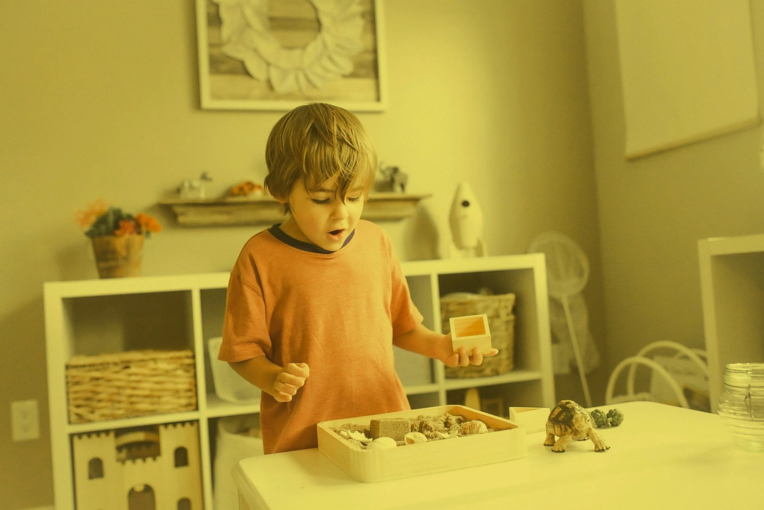 Specialist Speech, Language and Communication Needs (SLCN) support for children through Bamboo Learn.